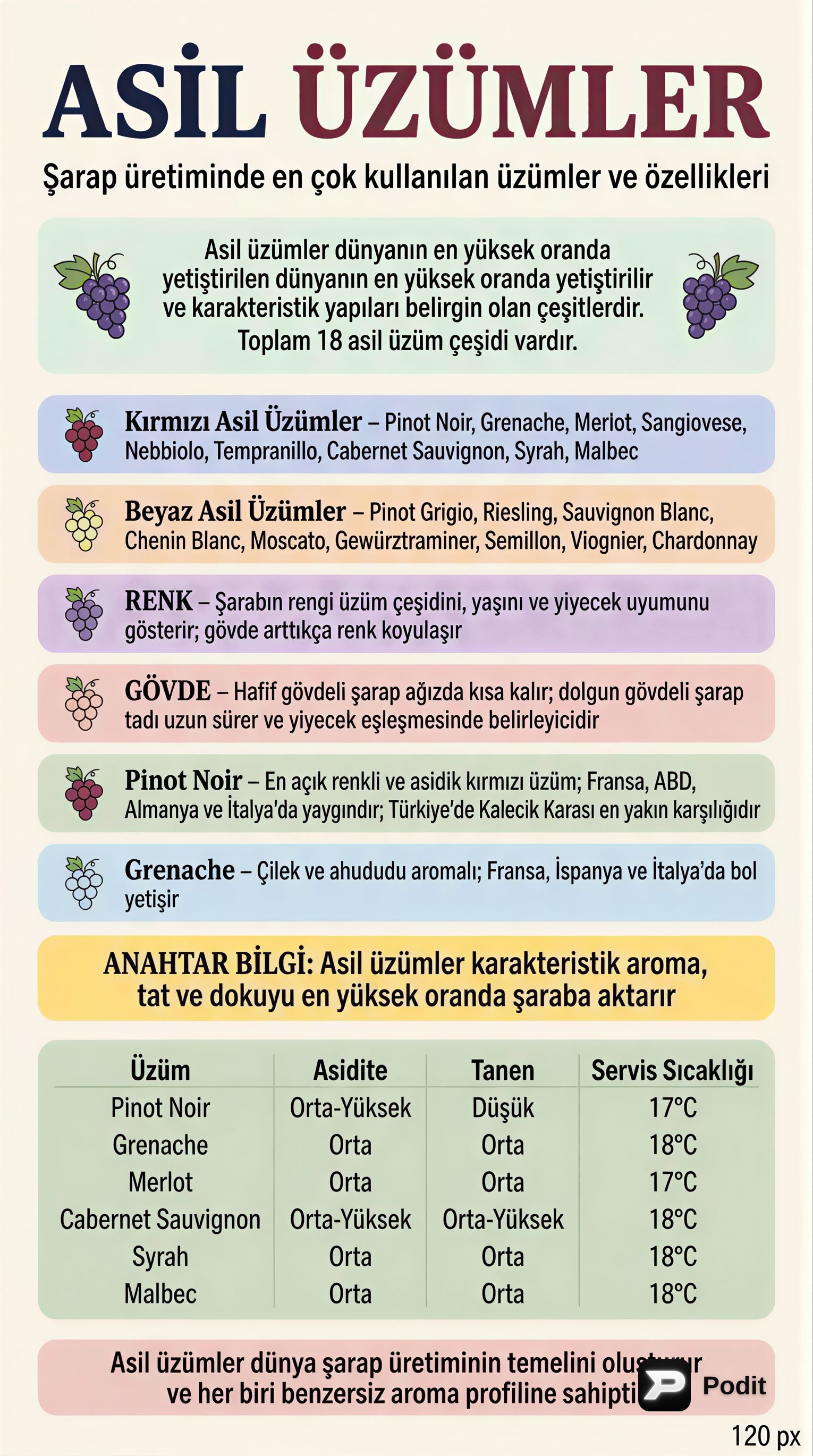 Şarap Üretiminde Asil Üzüm Çeşitleri ve Özellikleri - görsel özet infografik