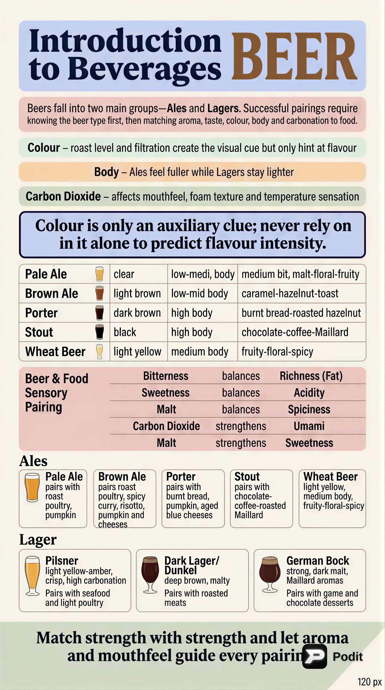 Beer and Food Pairings: Characteristics and Principles - görsel özet infografik