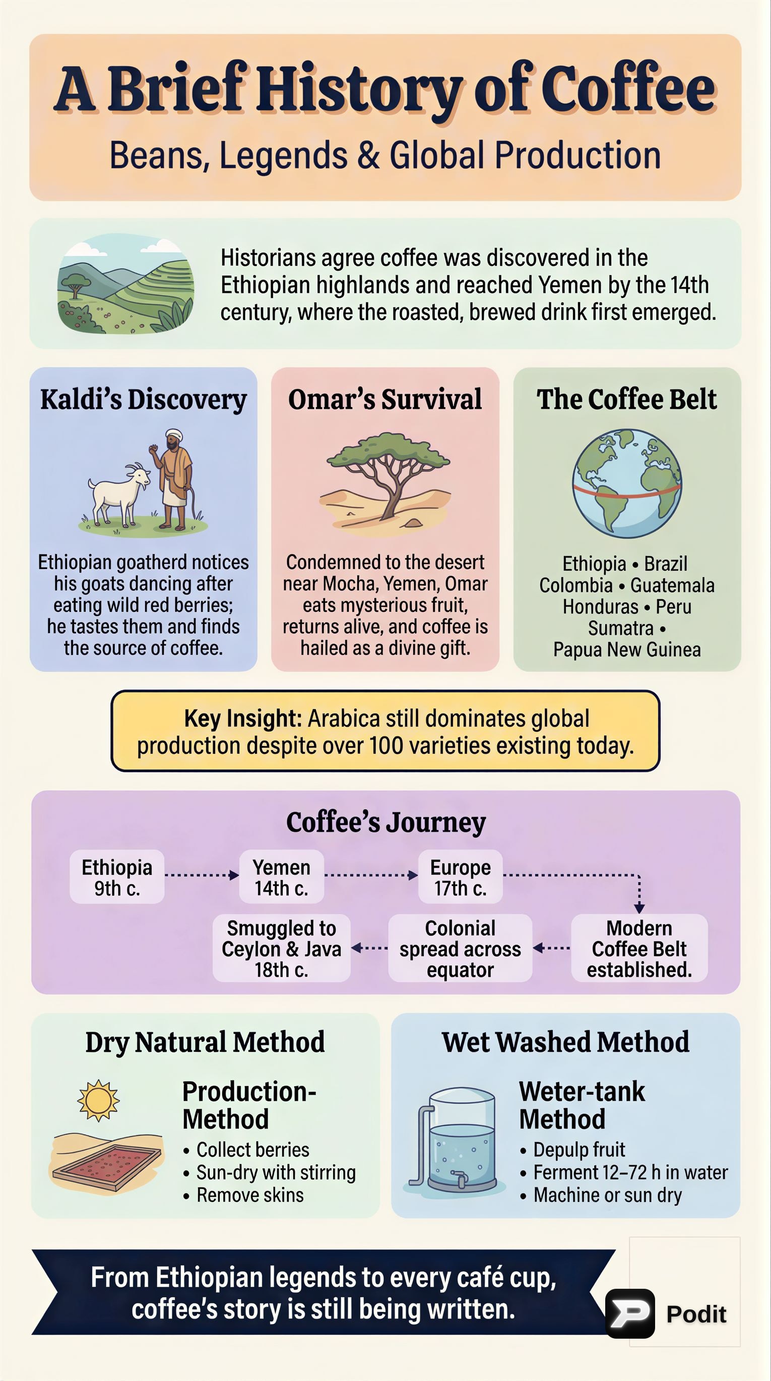 The History, Production, and Characteristics of Coffee - görsel özet infografik