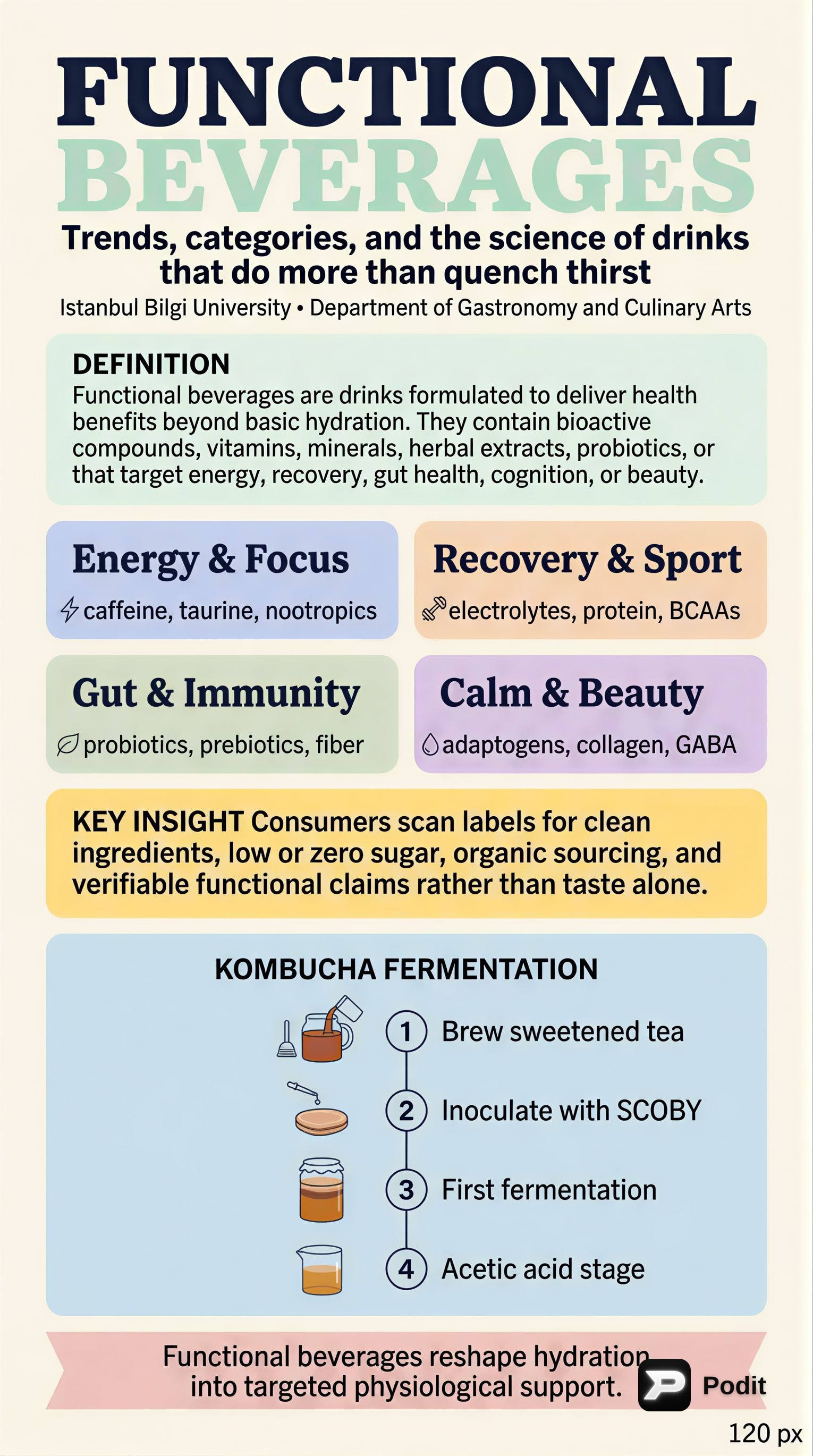 Functional Beverages: Trends, Categories, and Science - görsel özet infografik