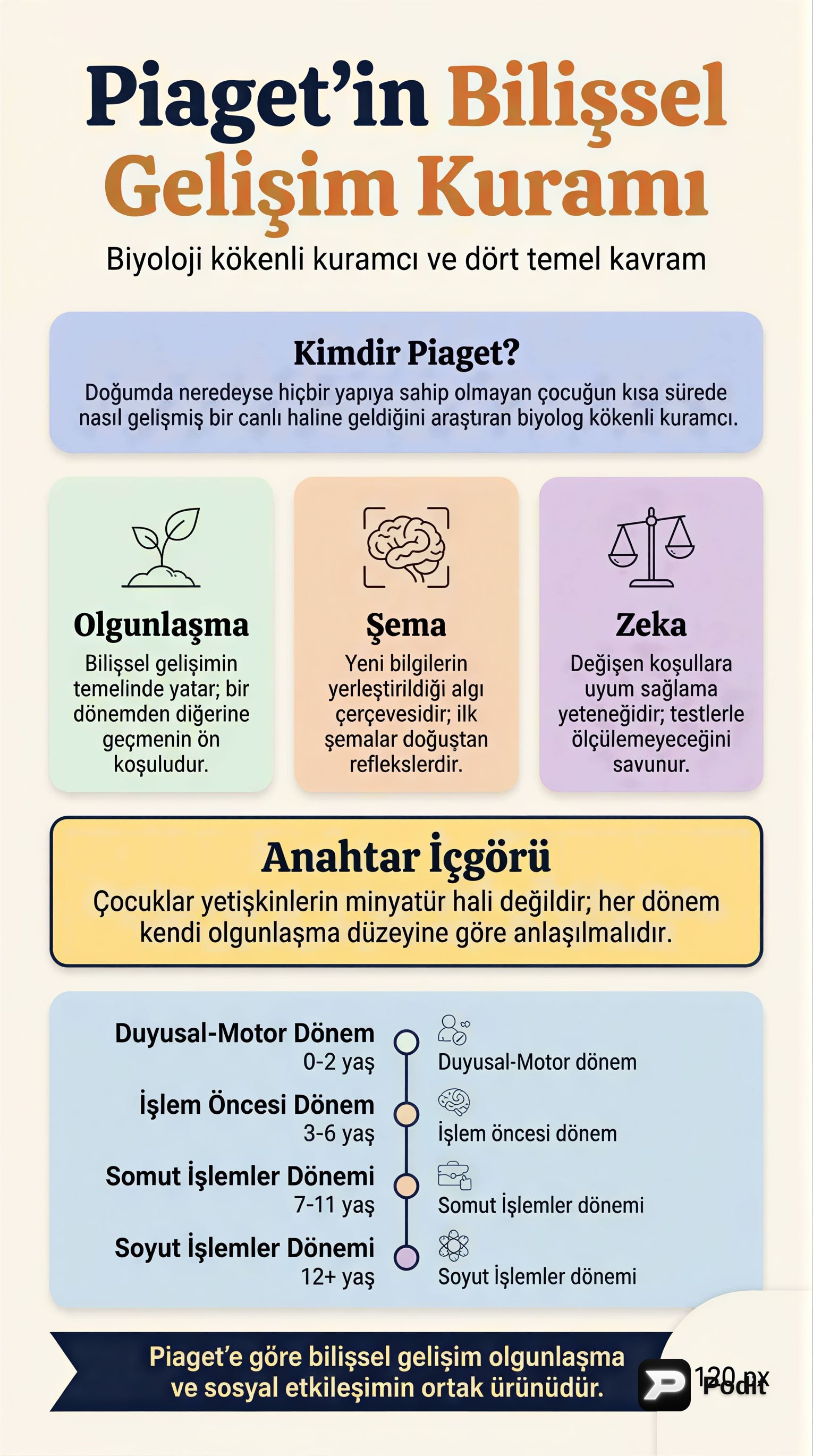 Piaget'nin Bilişsel Gelişim Kuramı: Temel Kavramlar - görsel özet infografik