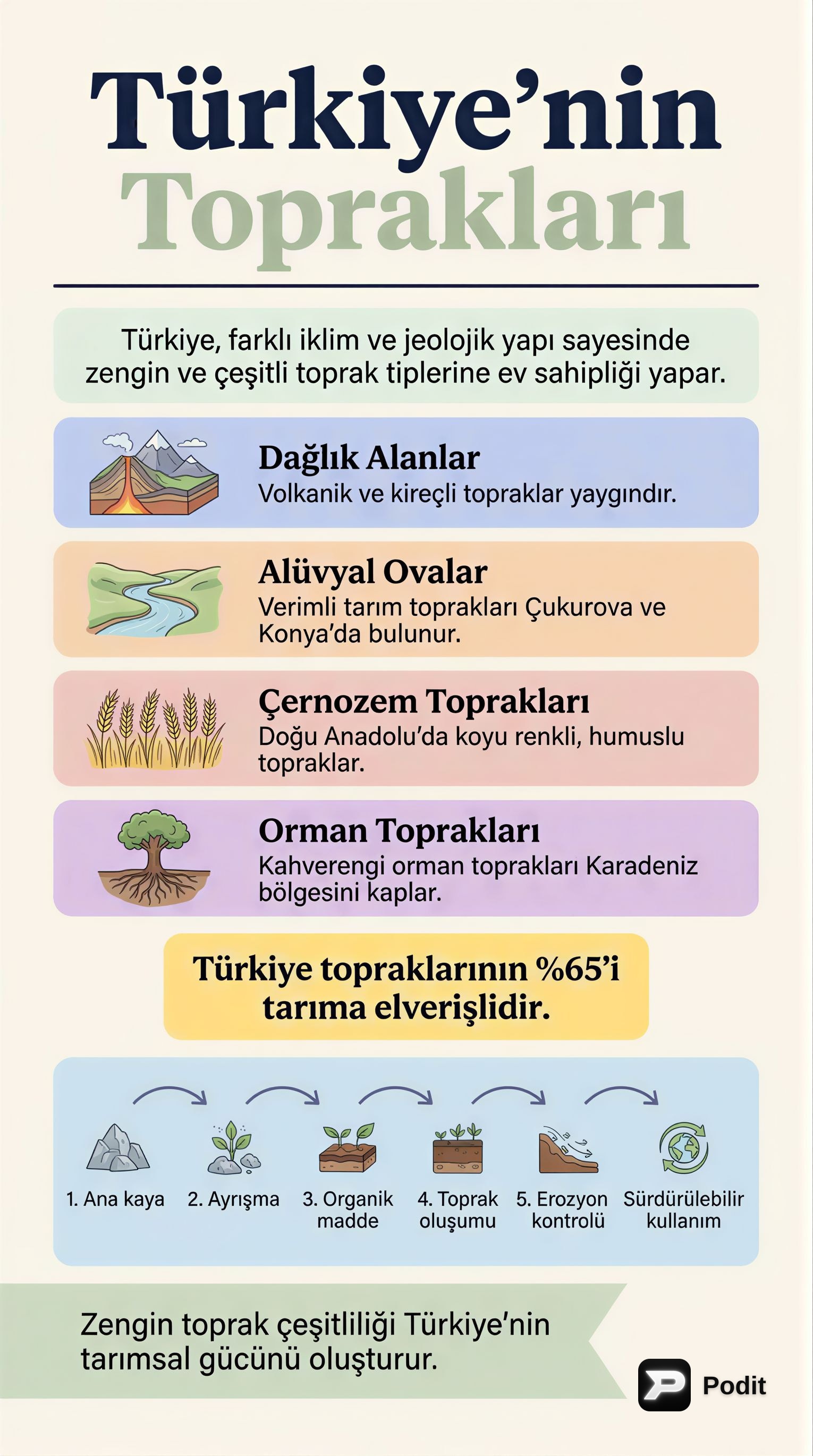 Türkiye'nin Toprakları: Oluşum, Tipler ve Önemi - görsel özet infografik