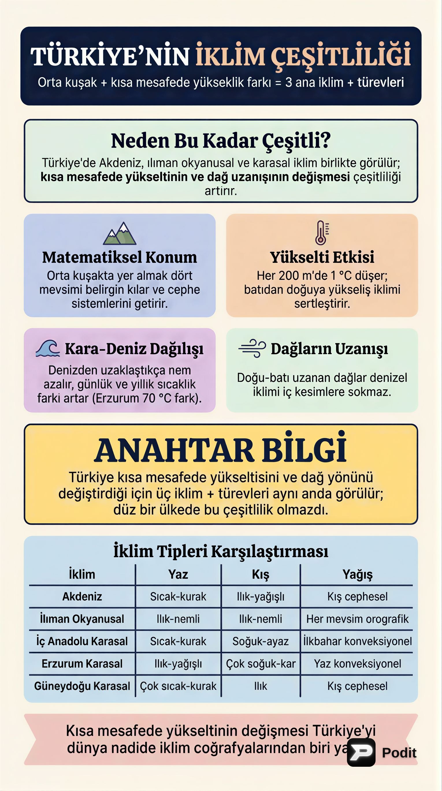 Türkiye İklimi ve Bitki Örtüsü Üzerine Kapsamlı Bir Analiz - görsel özet infografik