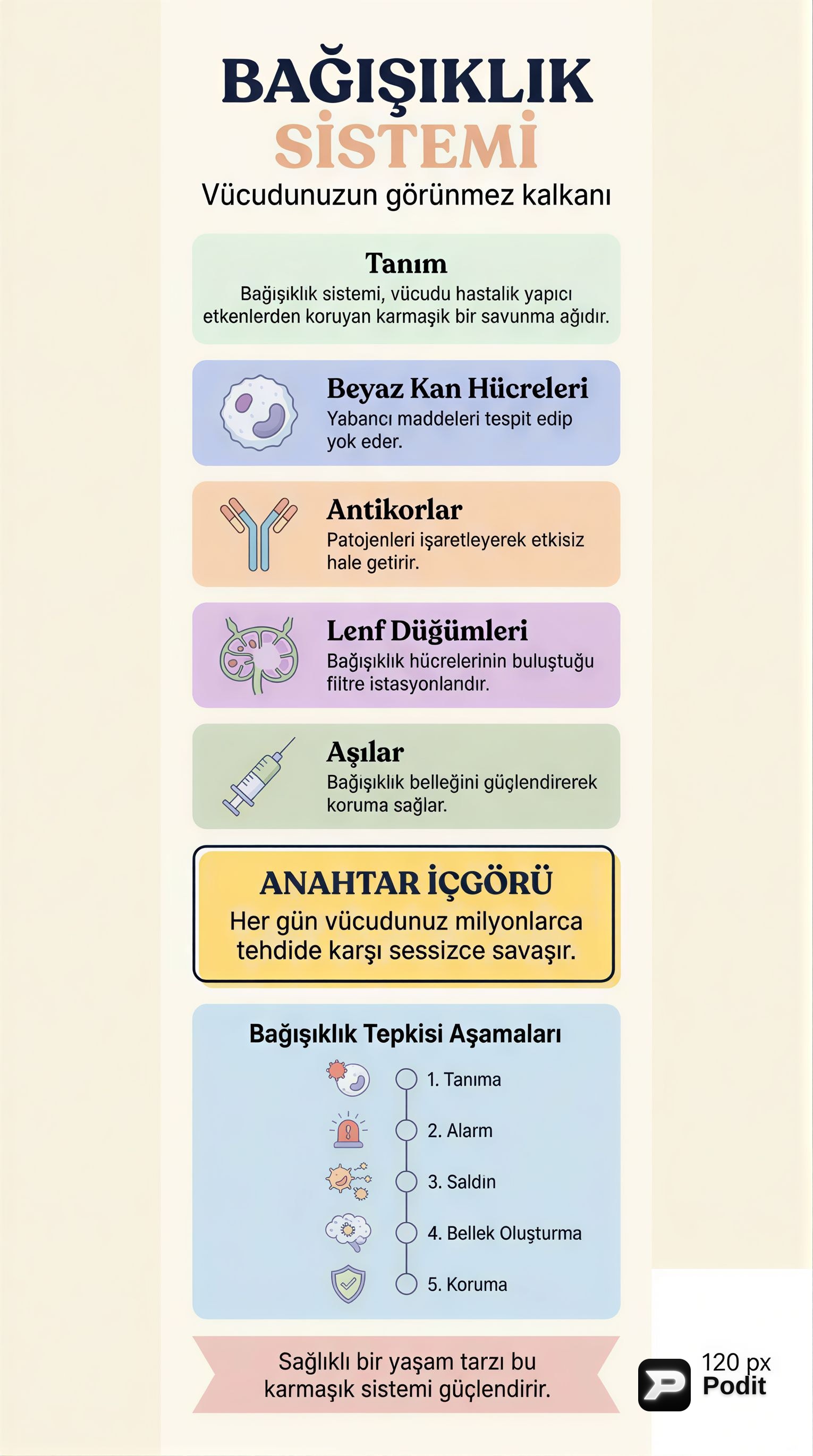 2024 Yılında Dünyanın En Büyük Ekonomileri - görsel özet infografik
