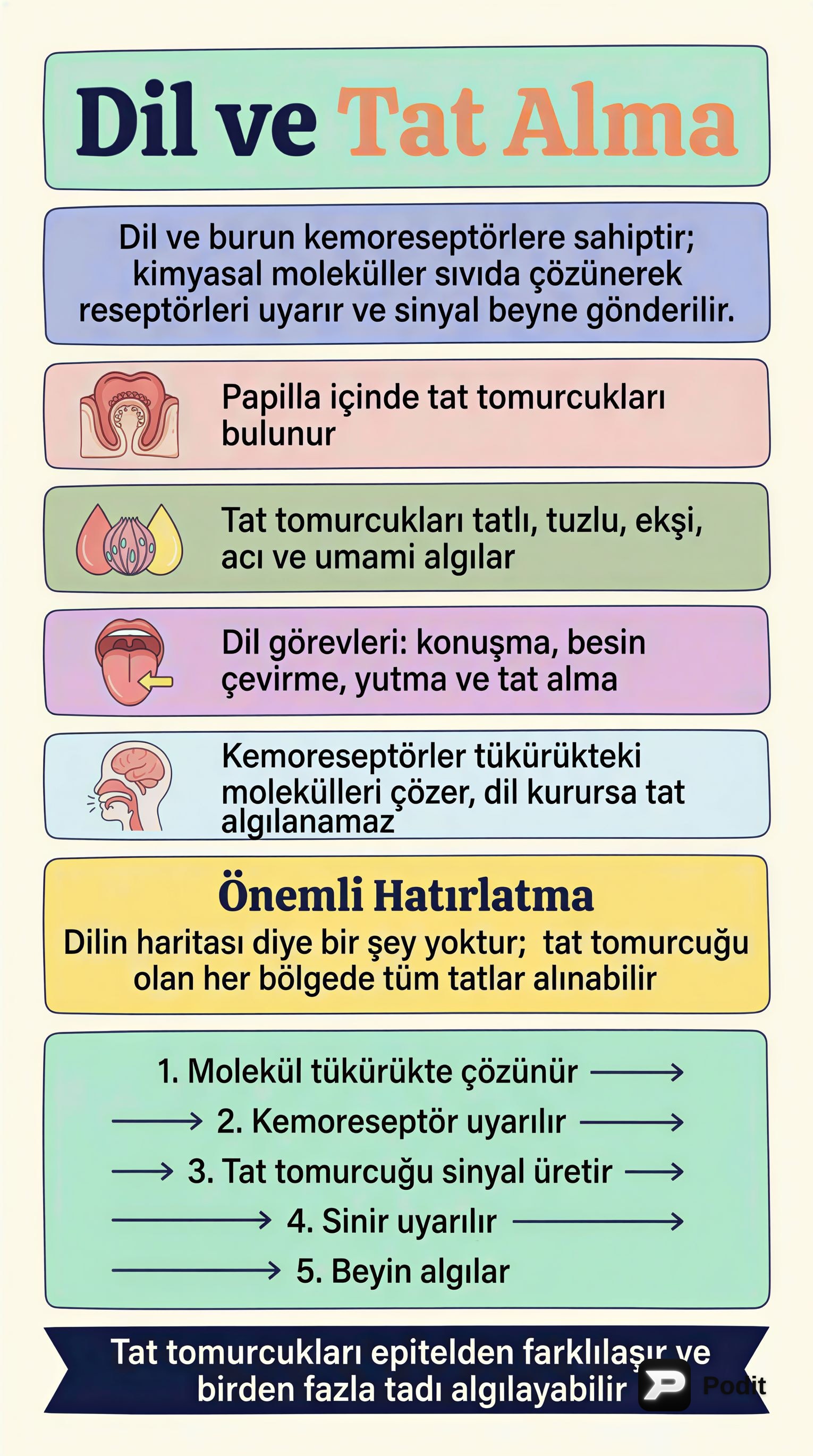 Bir YouTube Videosunu Anlamak: Eğitim İçin İpuçları - görsel özet infografik
