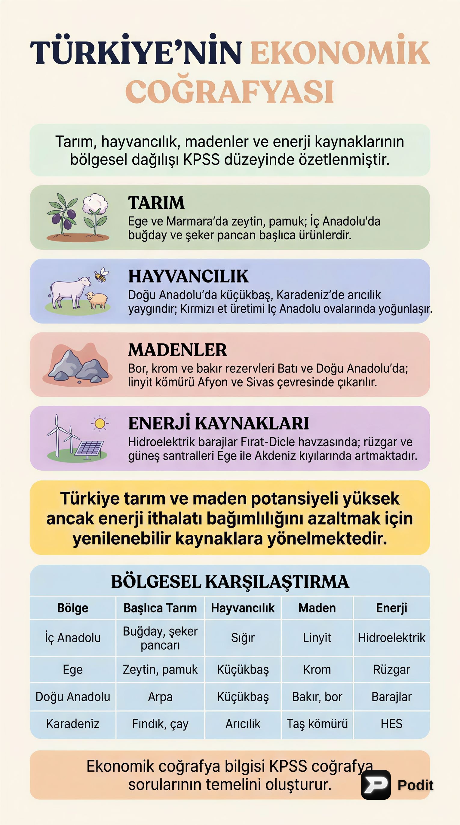 Türkiye'nin Ekonomik Coğrafyası: Tarım, Madenler, Enerji - görsel özet infografik