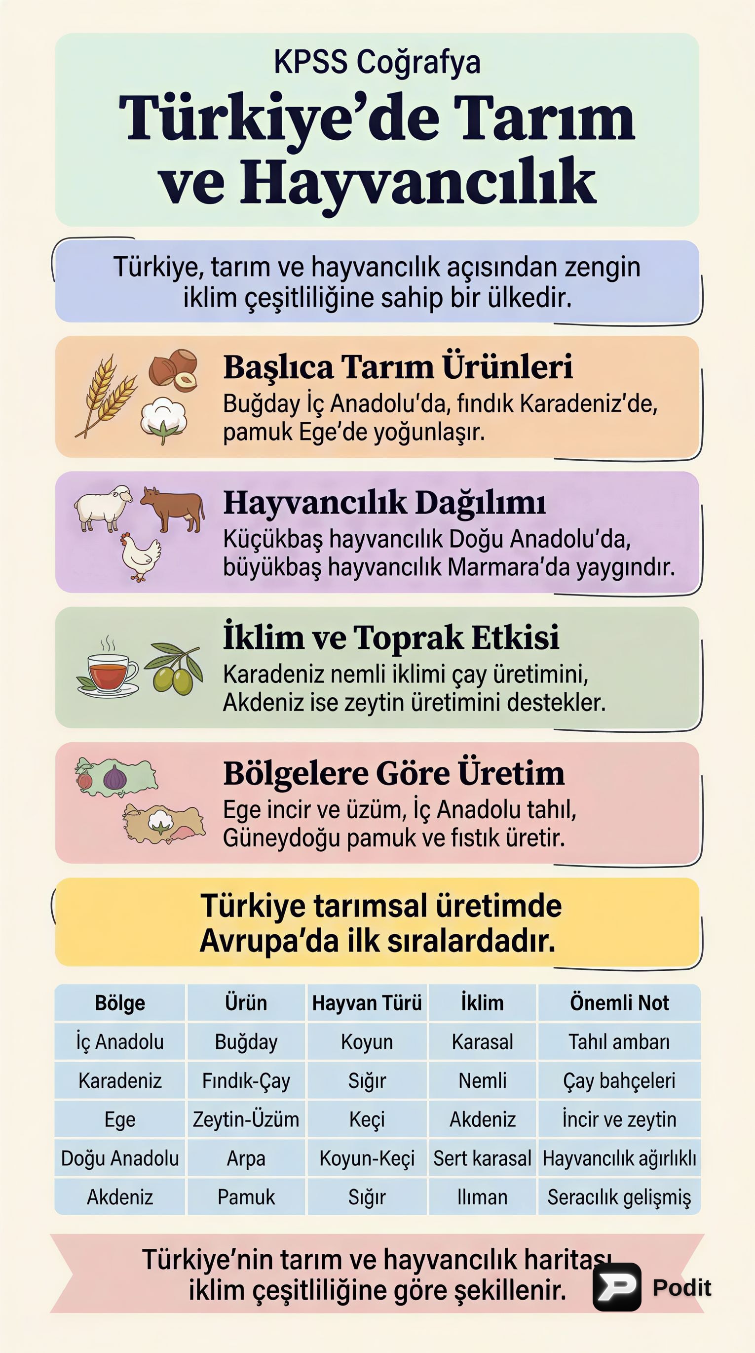 Türkiye'de Tarım ve Hayvancılık: KPSS Coğrafya - görsel özet infografik