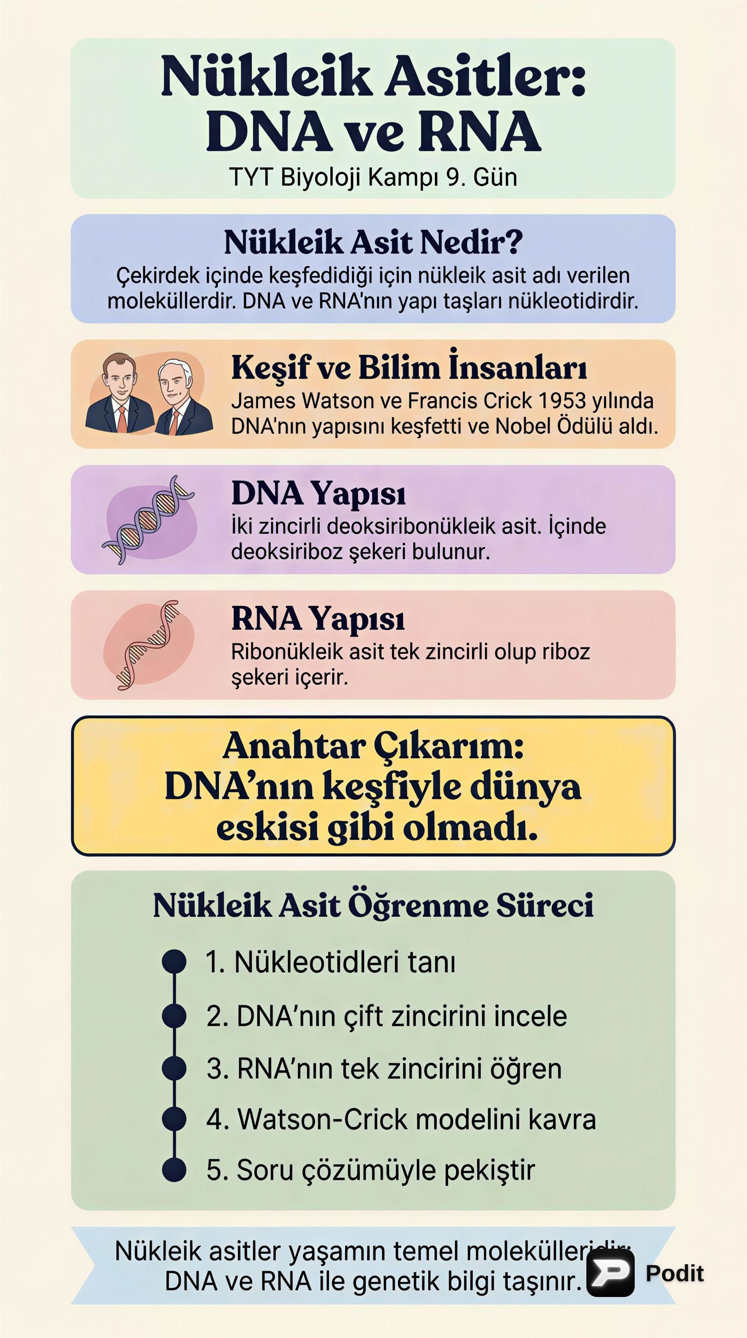 YouTube Videolarının Kapsamlı Analizi - görsel özet infografik