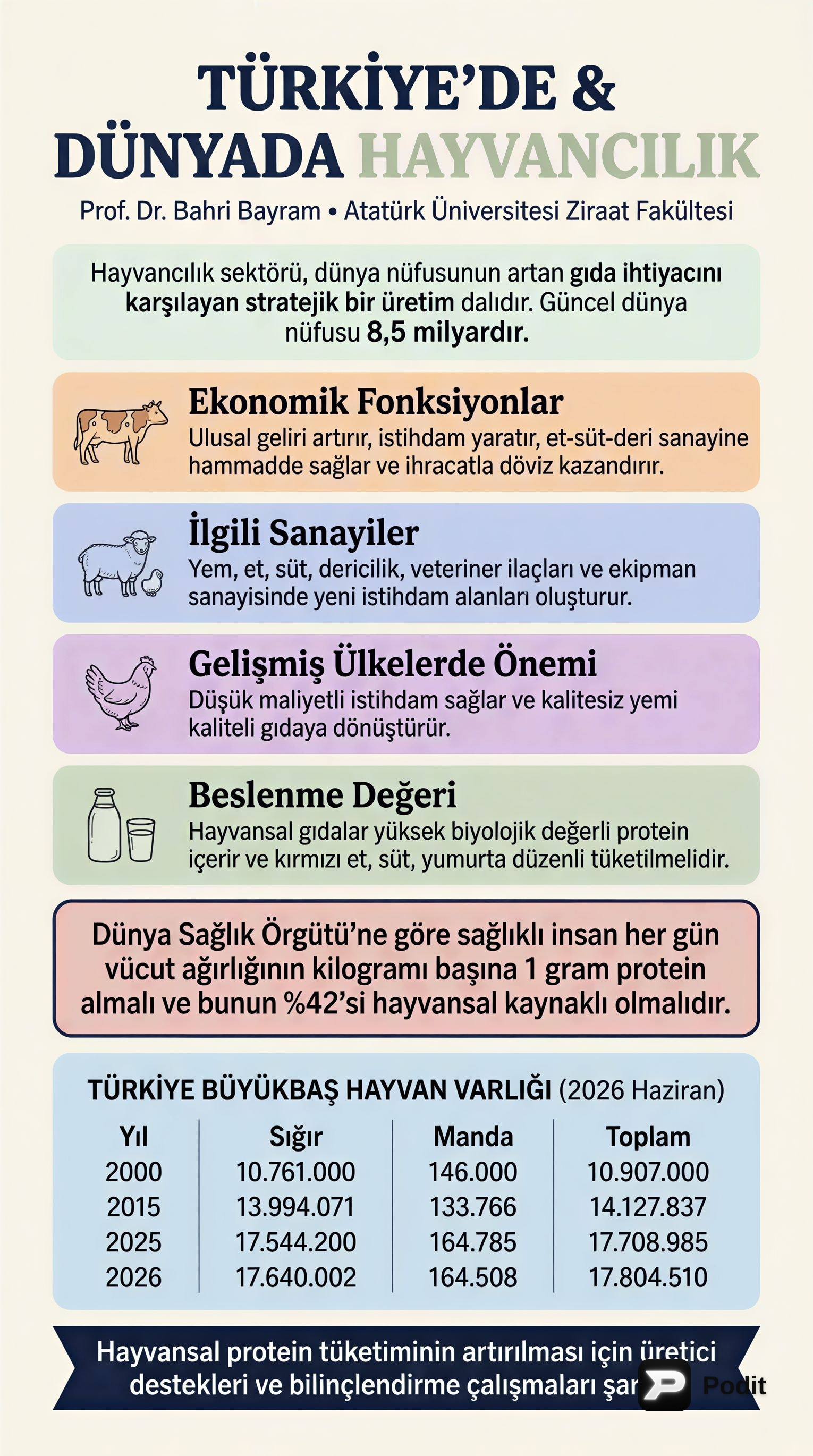 Türkiye ve Dünyada Hayvancılık Sektörü - görsel özet infografik