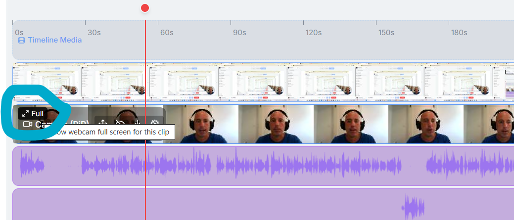 full screen webcam recording