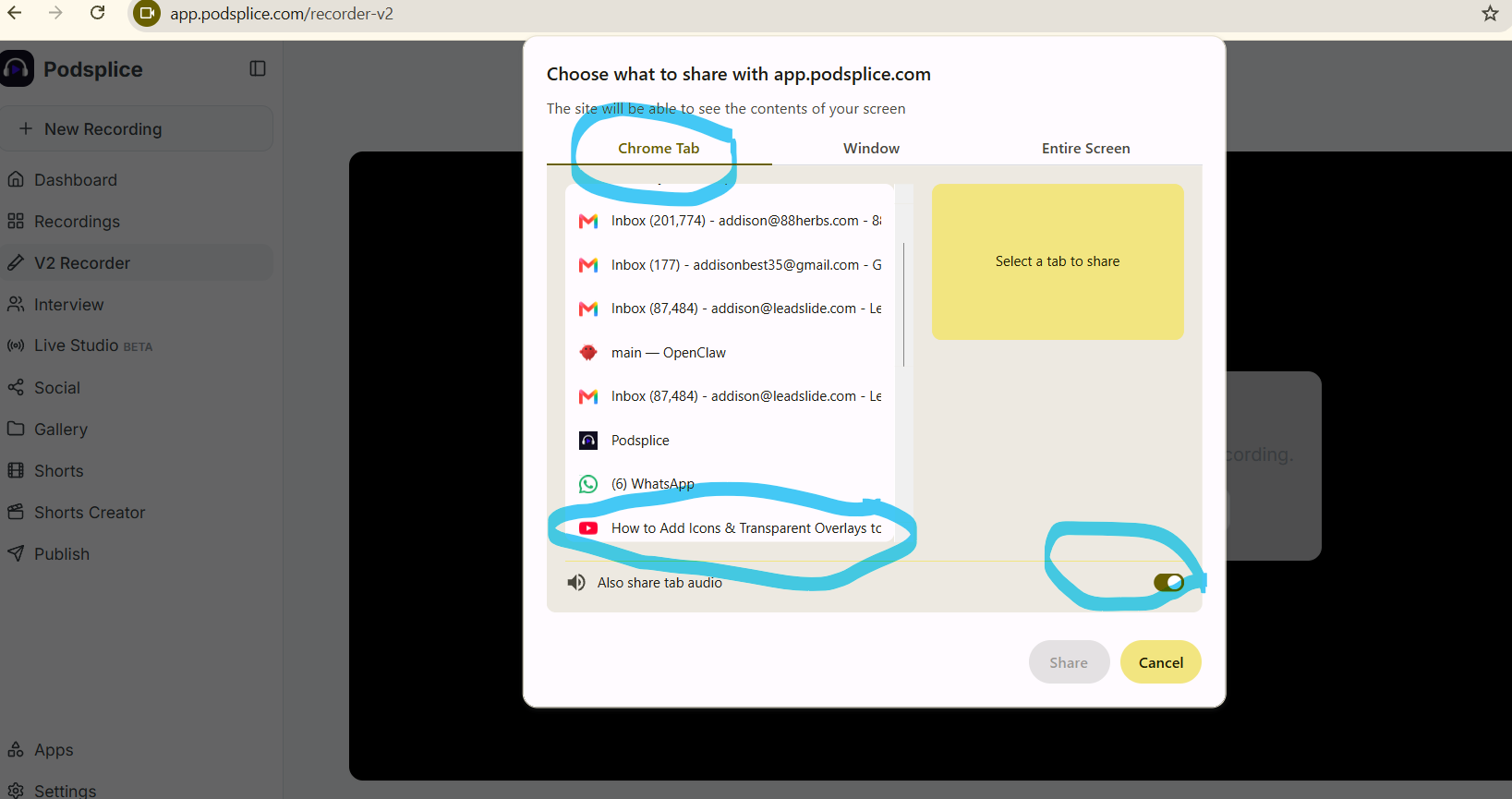mac screenshare settings