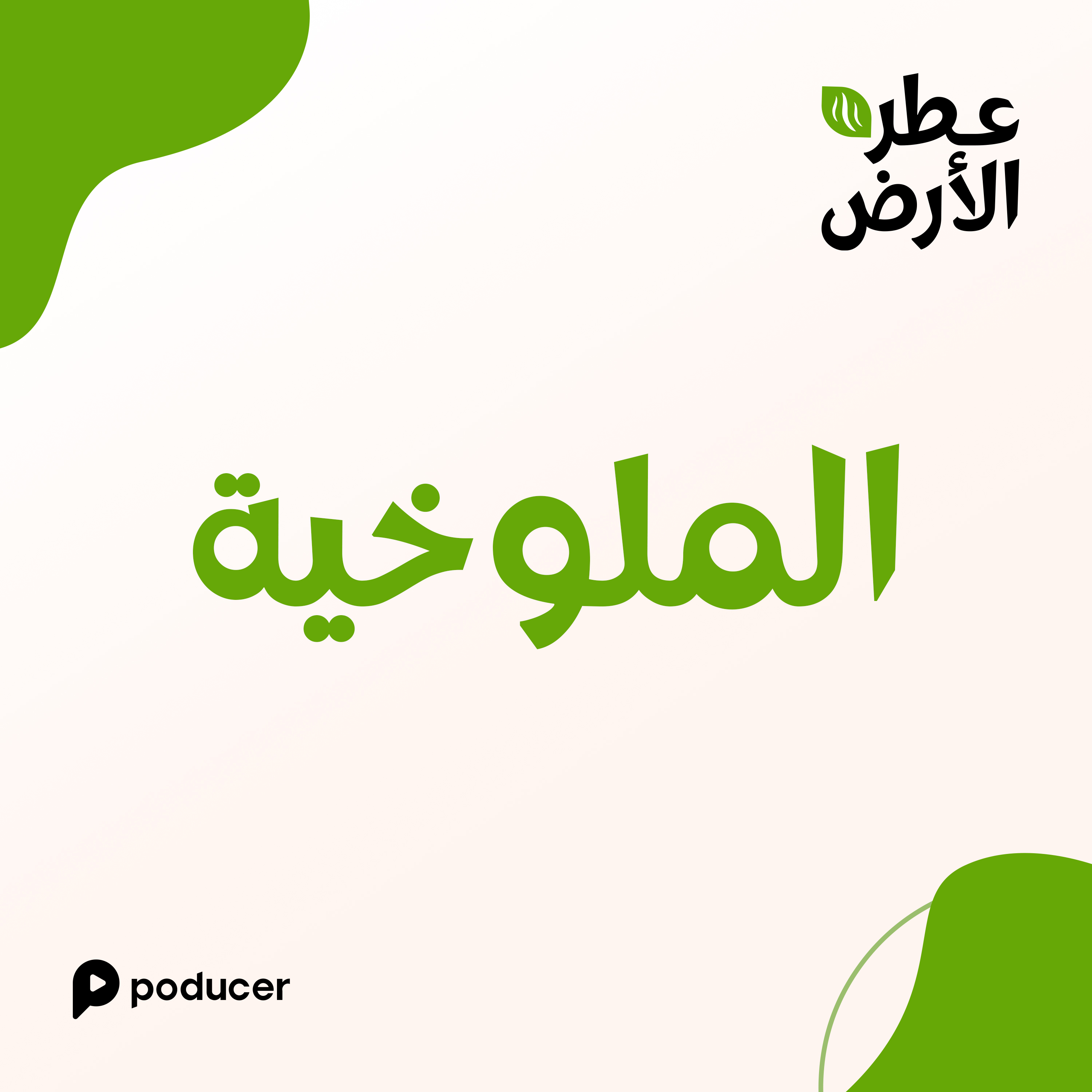 EP019 | الملوخية episode artwork