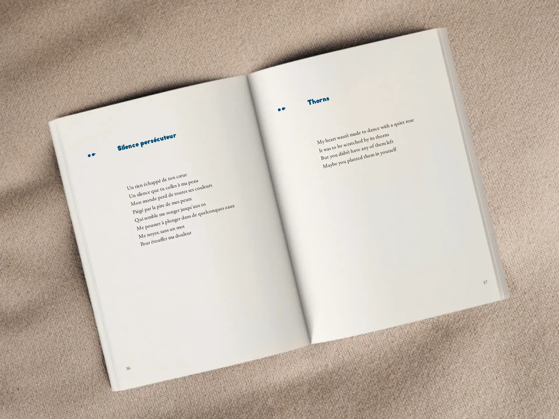 Cover of the book