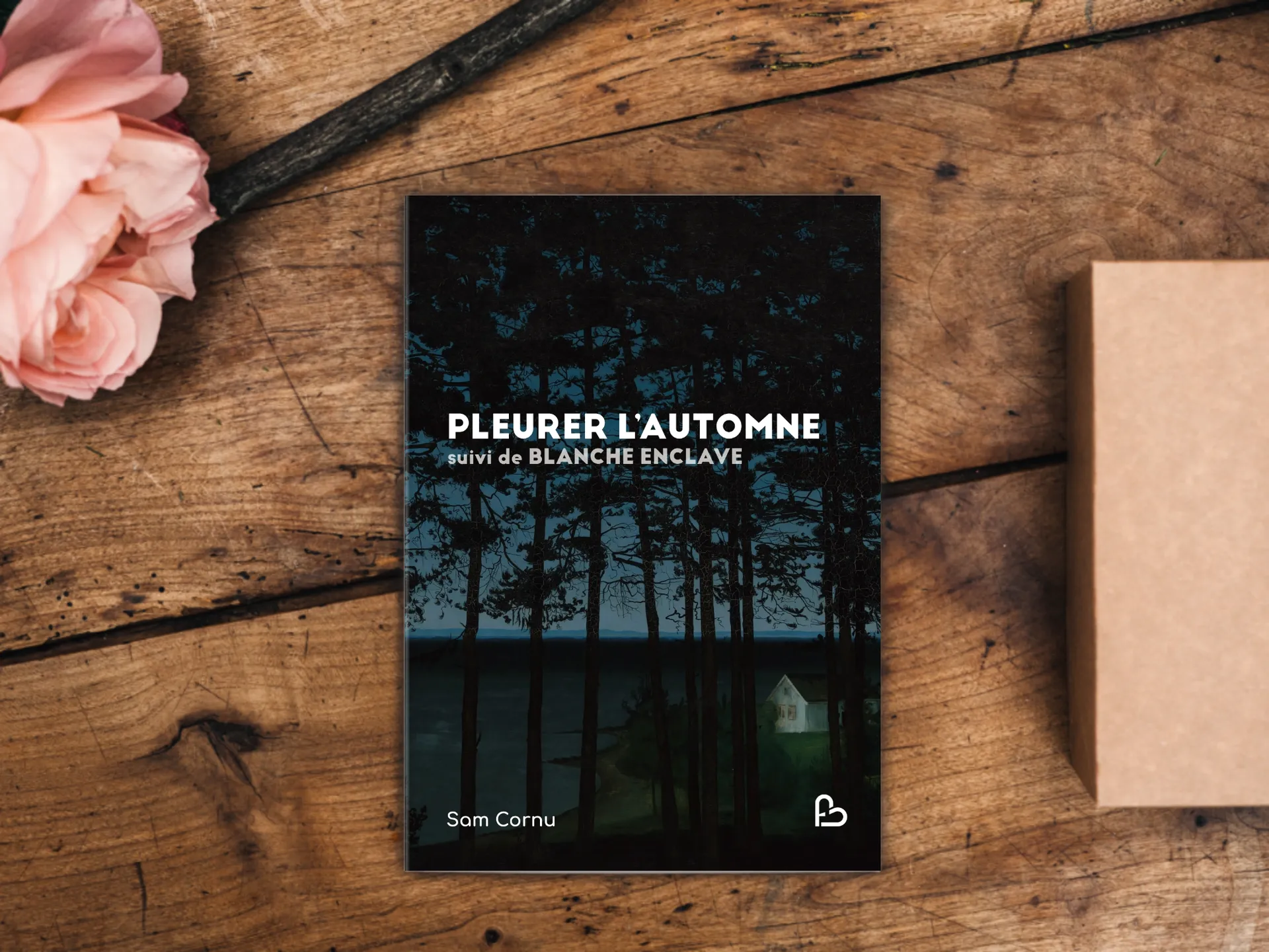 Cover of the book