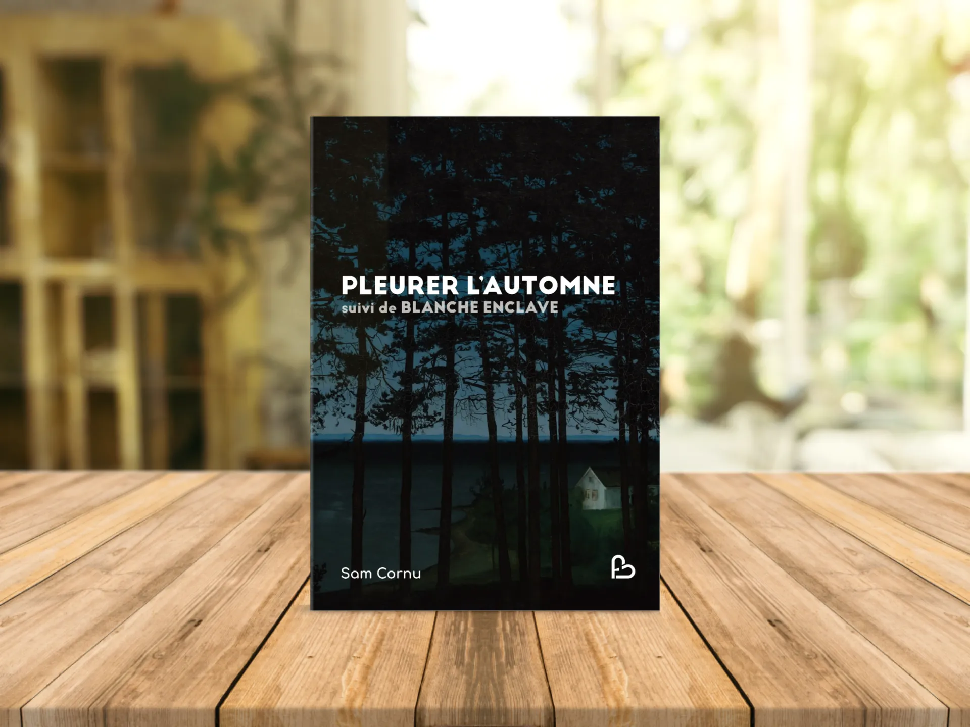 Cover of the book