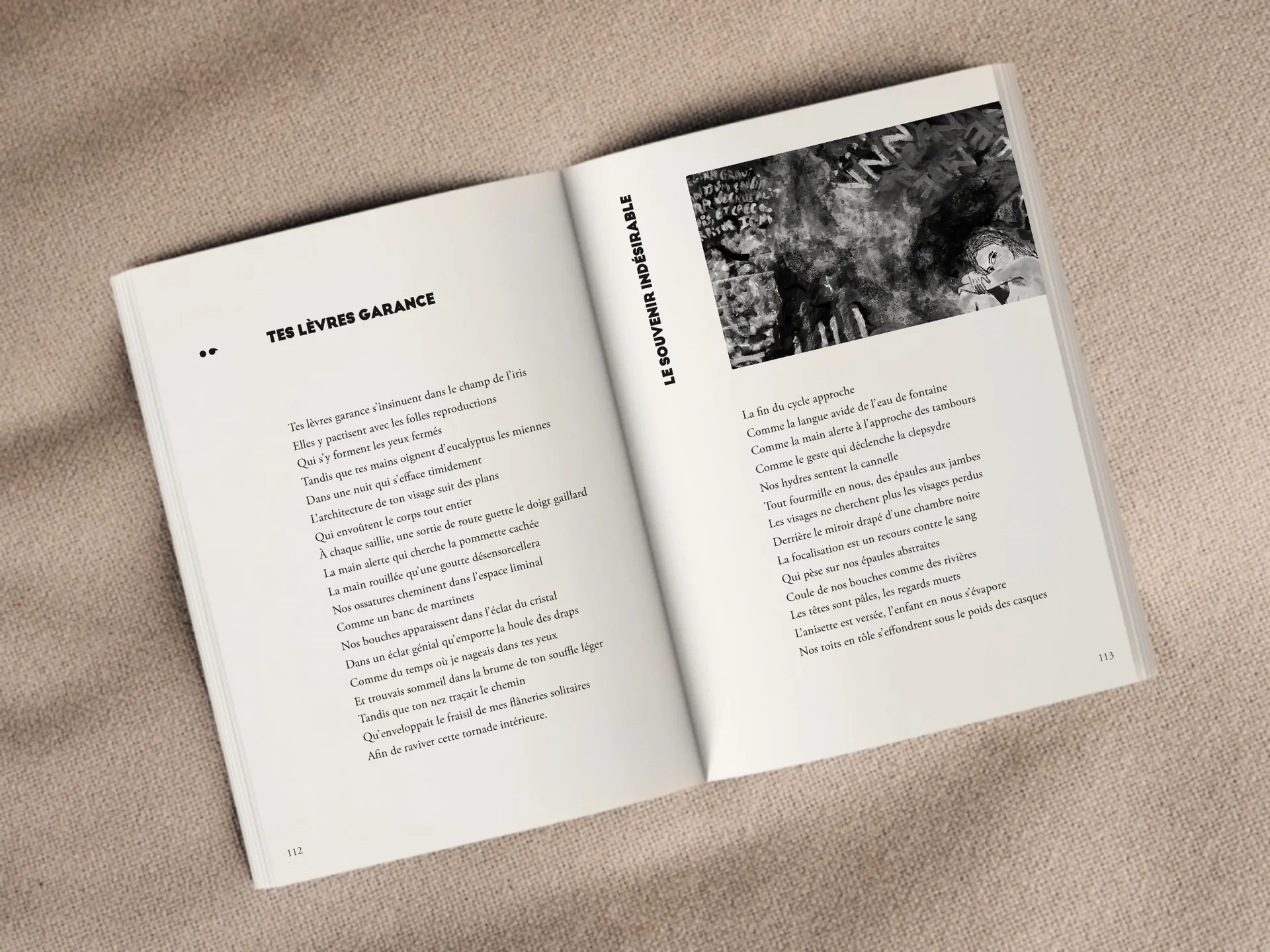 Cover of the book