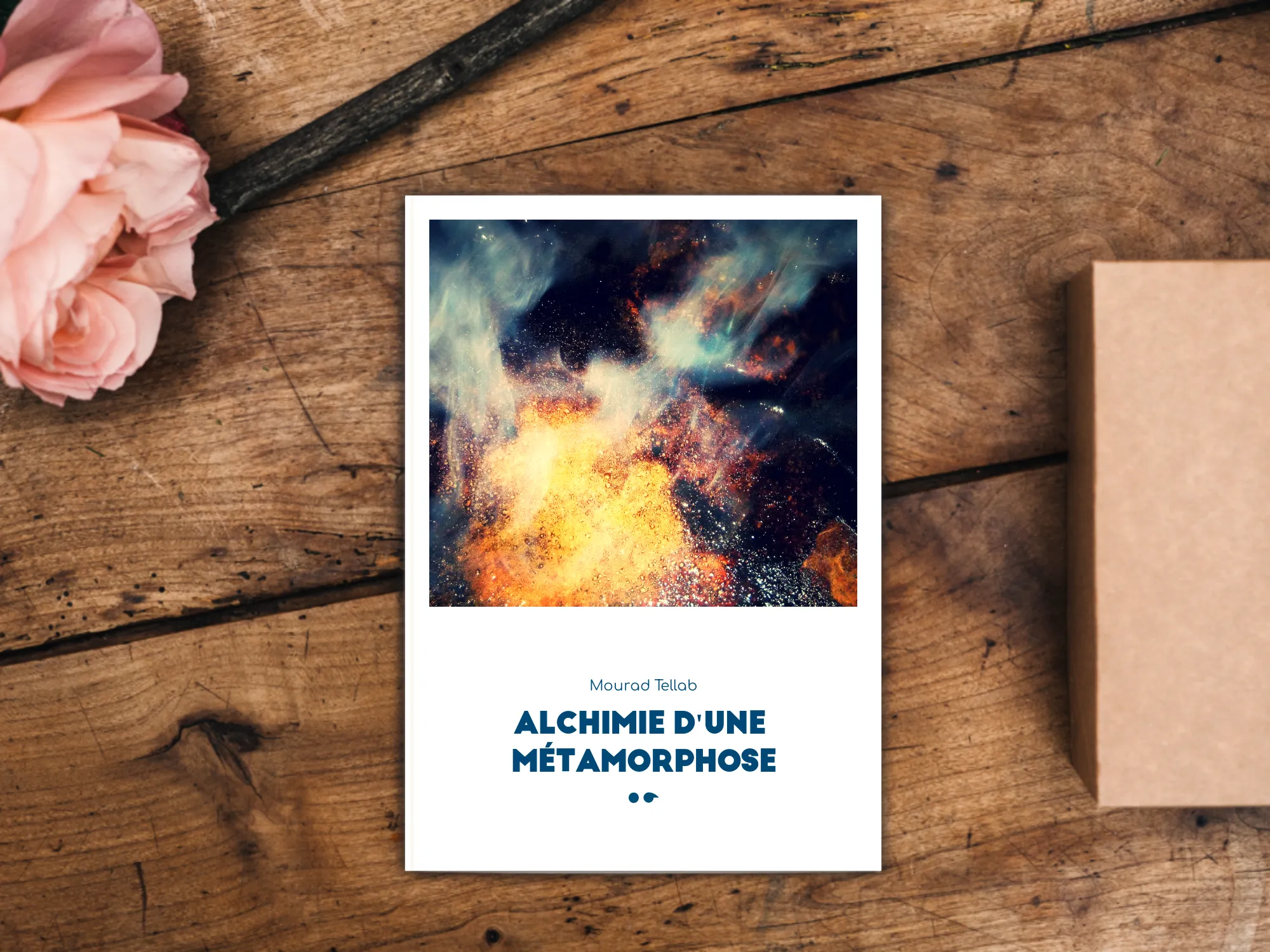 Cover of the book