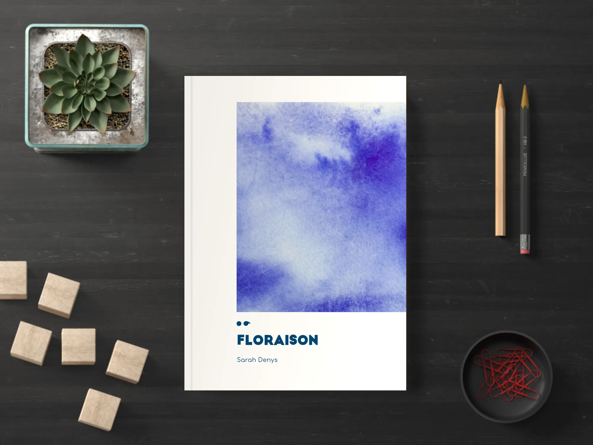 Cover of the book