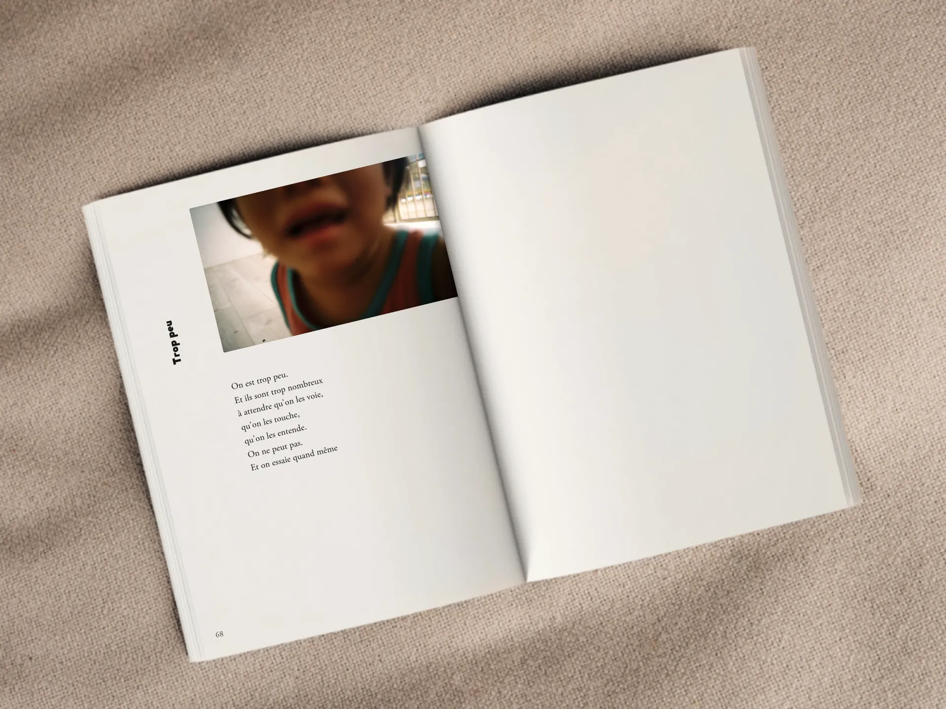 Cover of the book