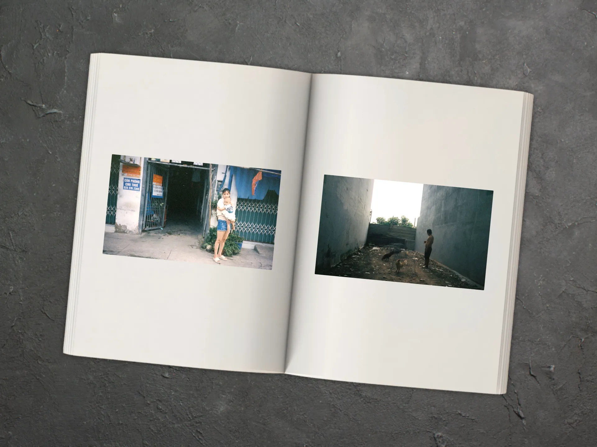 Cover of the book