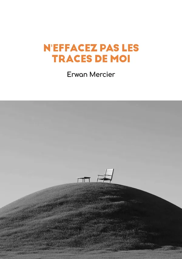 Cover of N'EFFACEZ PAS LES TRACES DE MOI