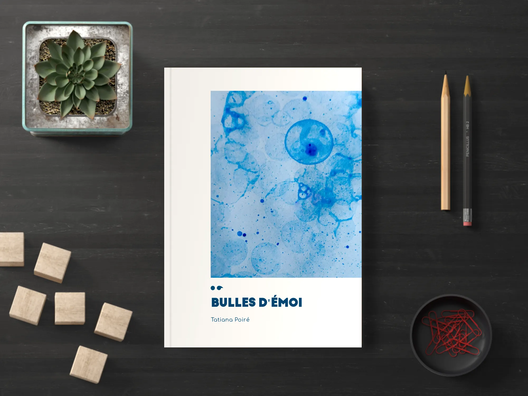Cover of the book