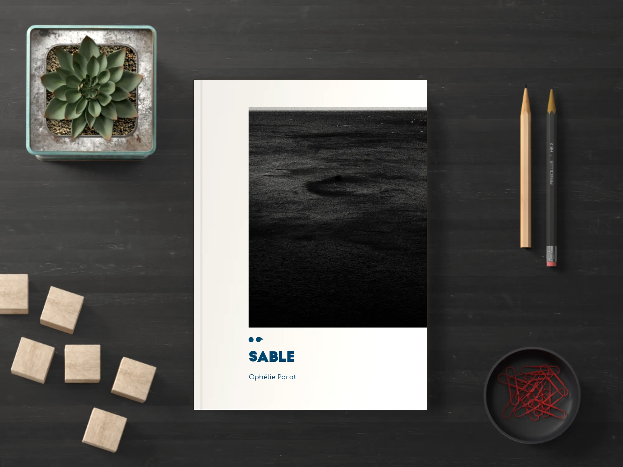 Cover of the book
