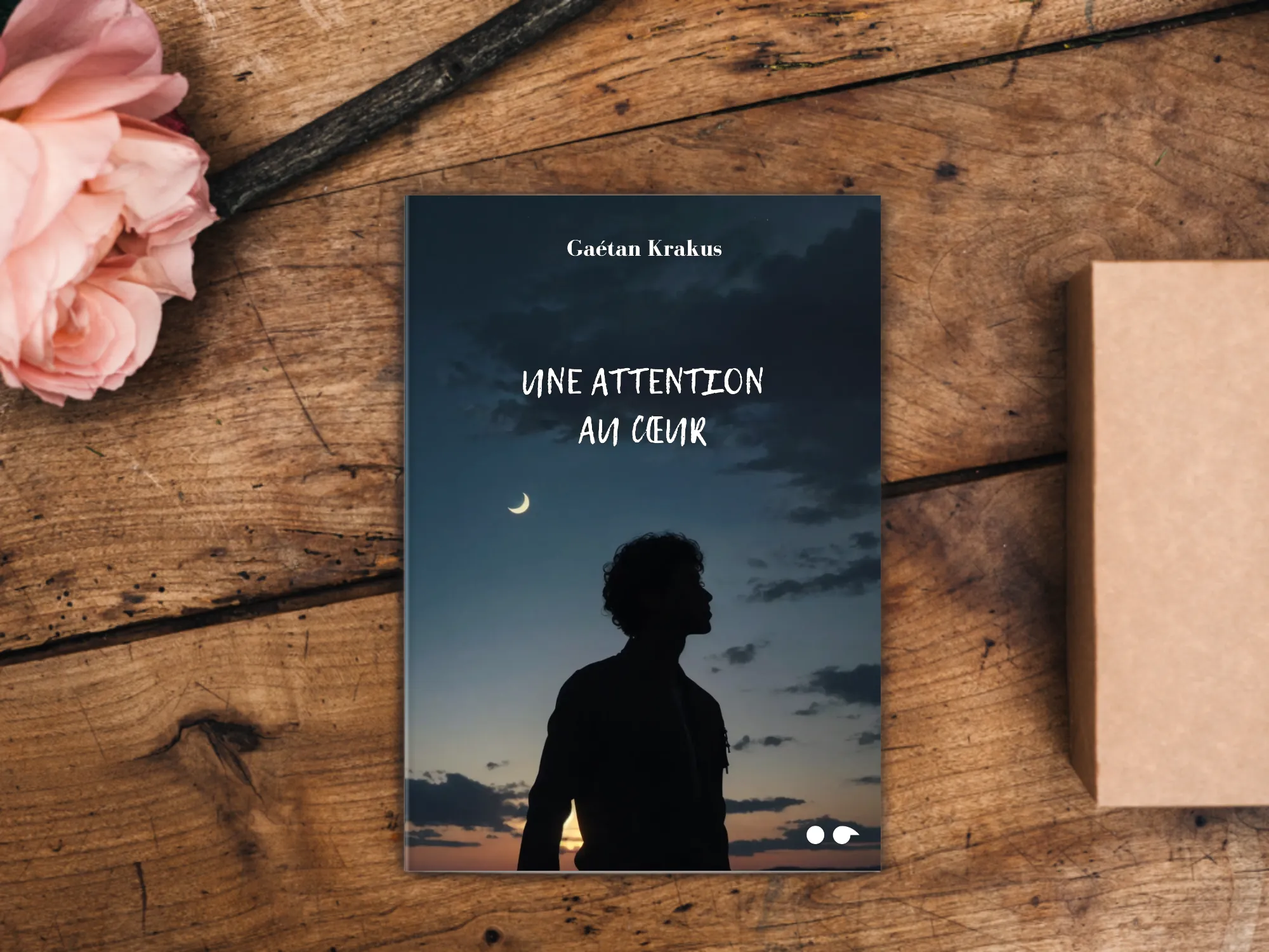 Cover of the book