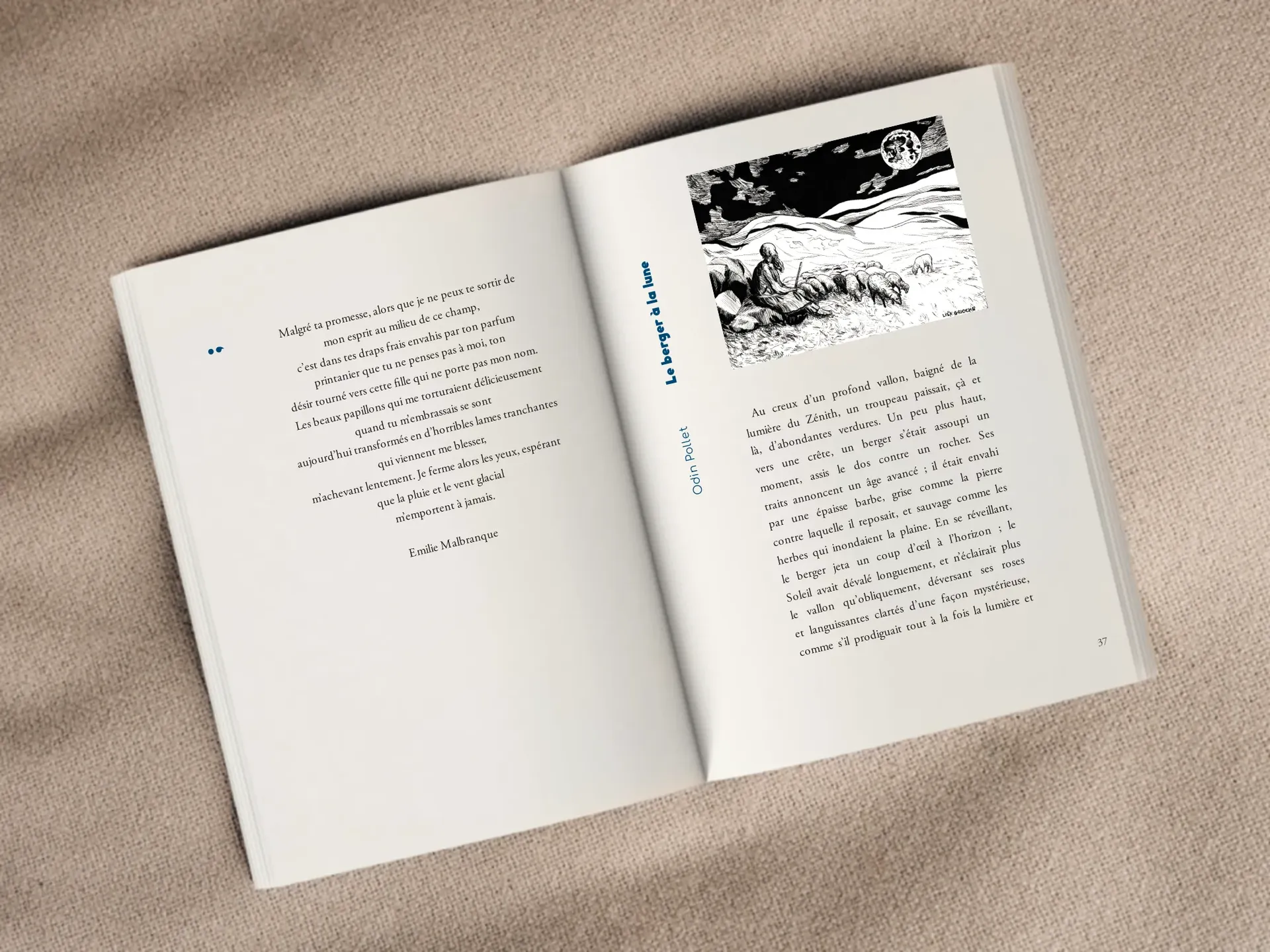 Cover of the book
