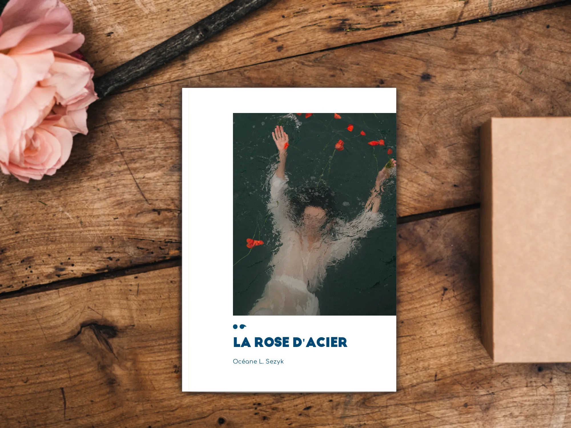 Cover of the book