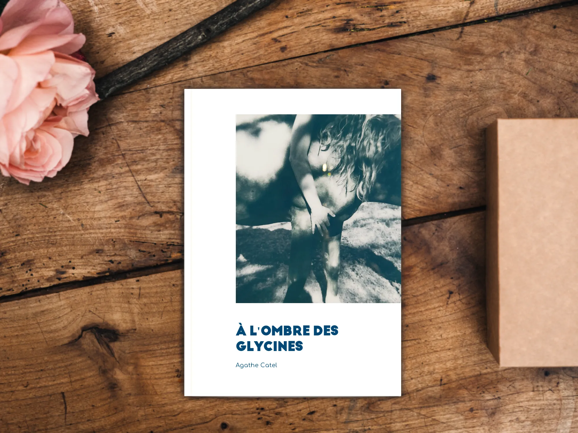 Cover of the book