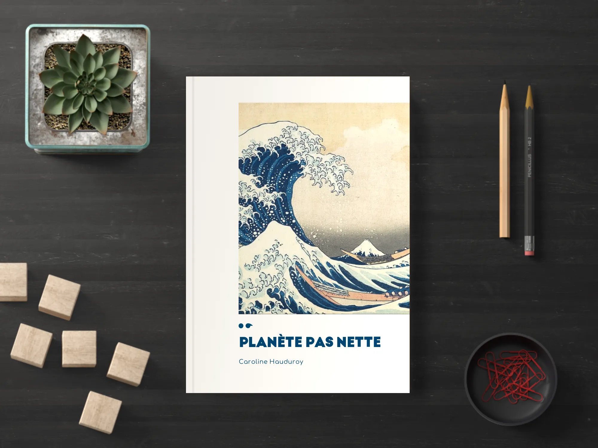 Cover of the book