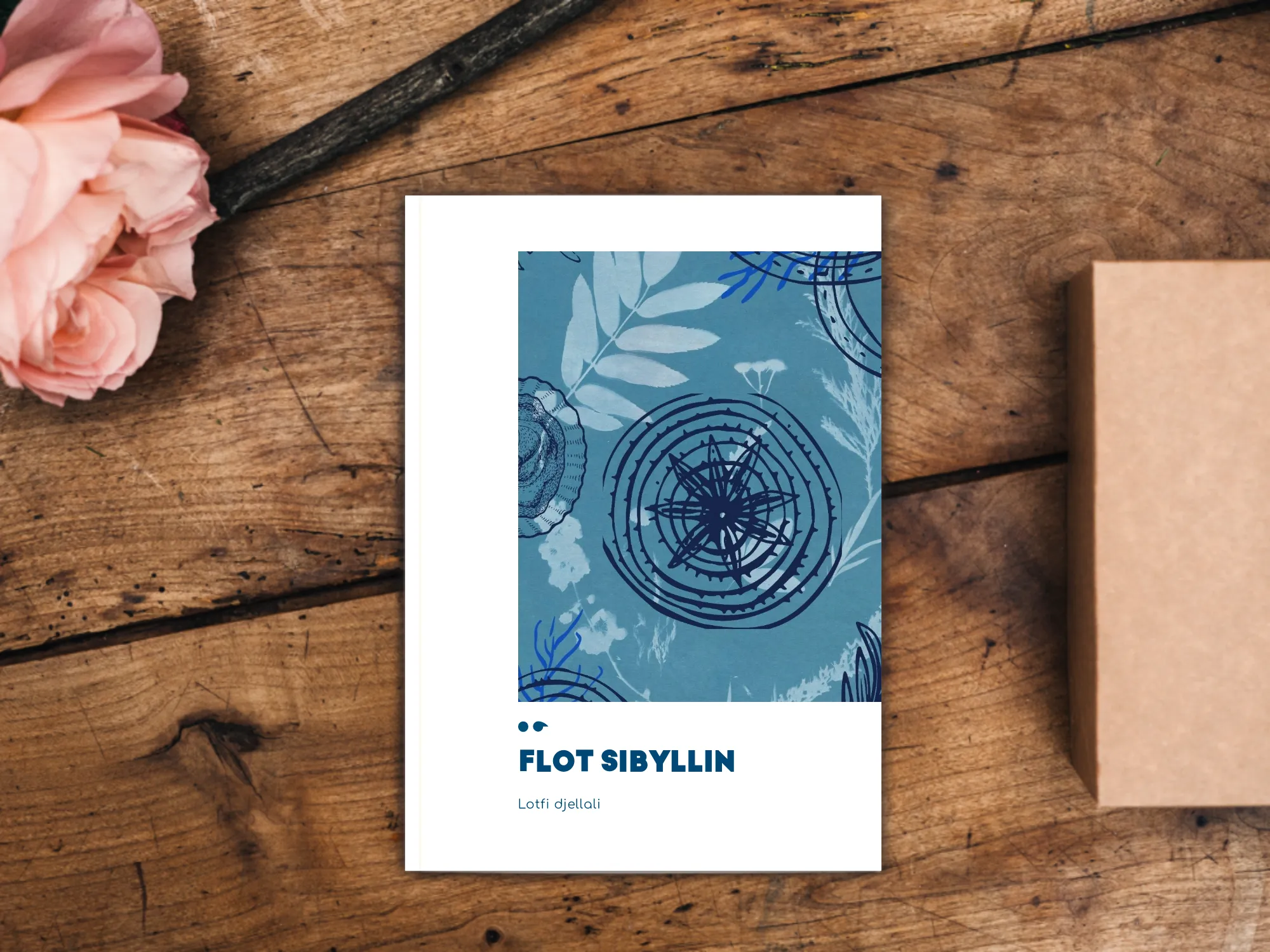 Cover of the book