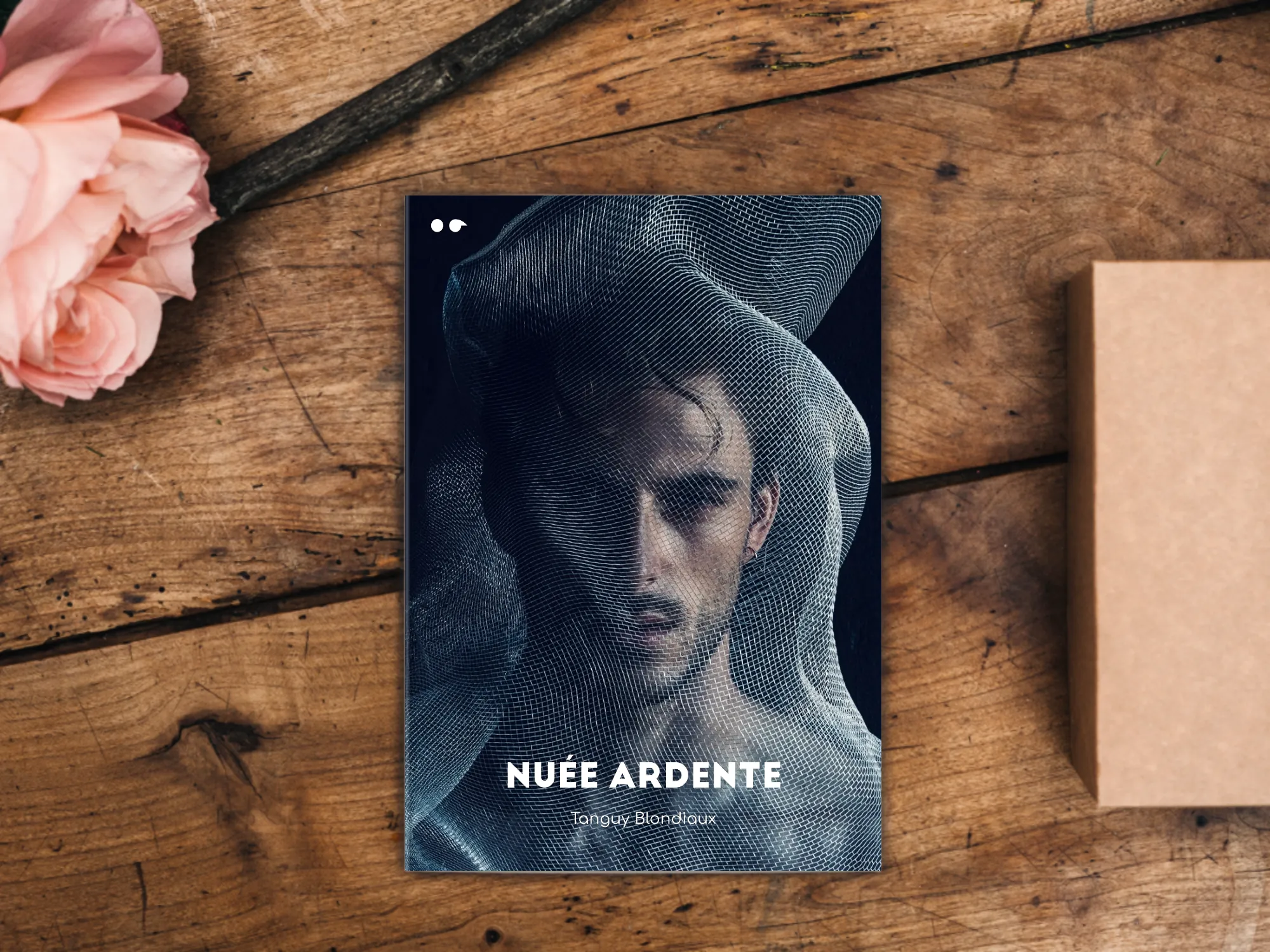 Cover of the book