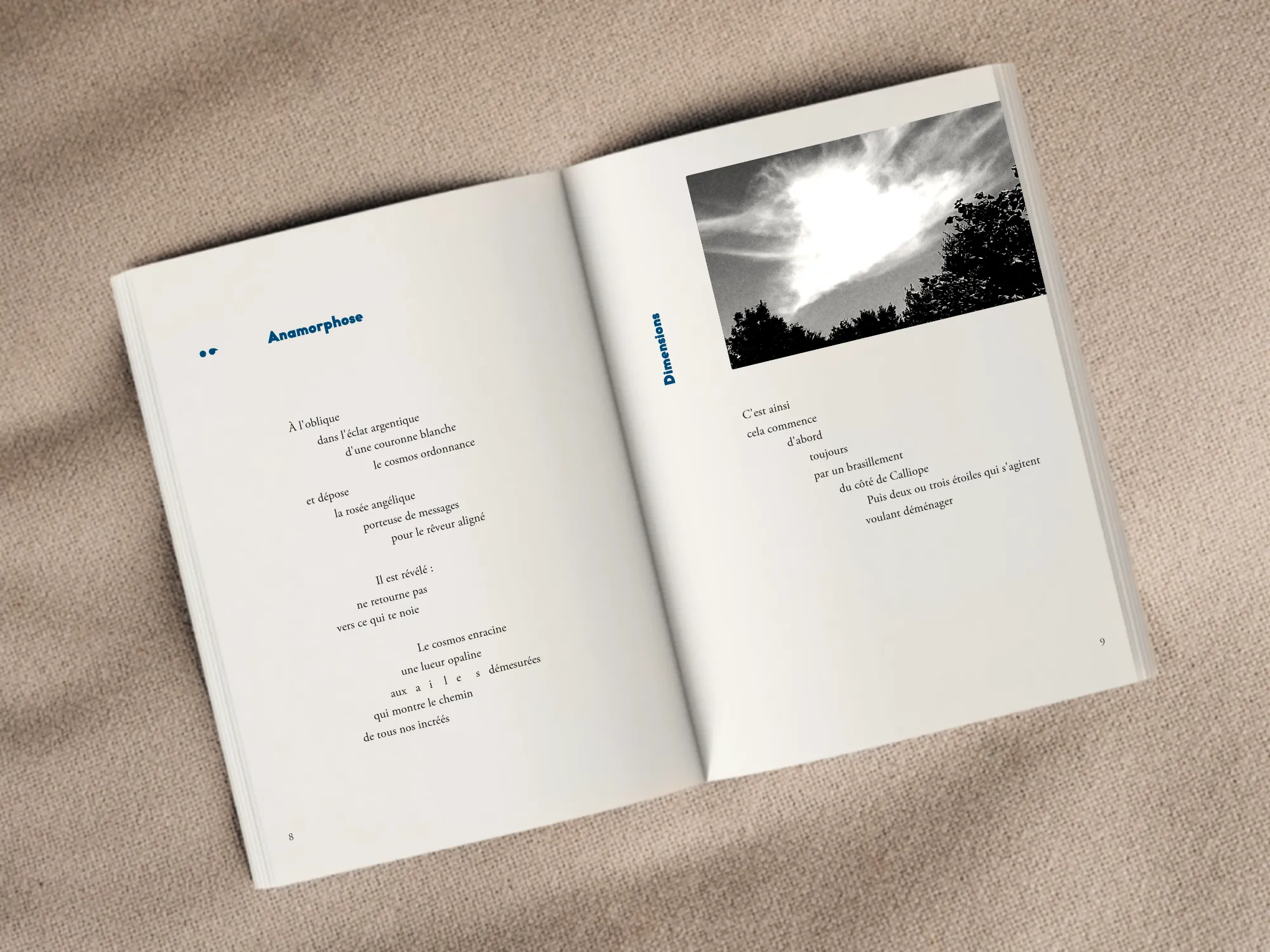Cover of the book