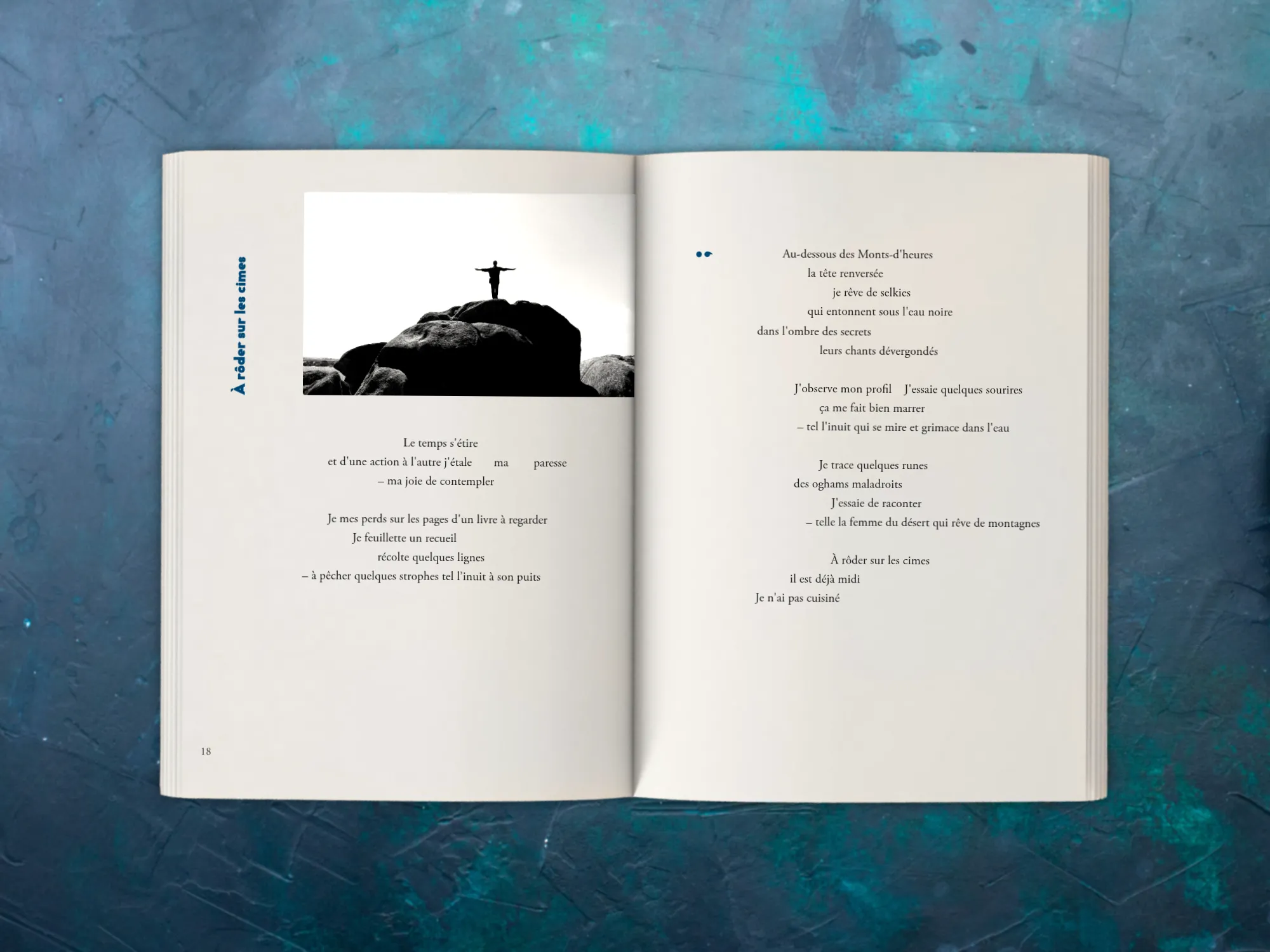 Cover of the book