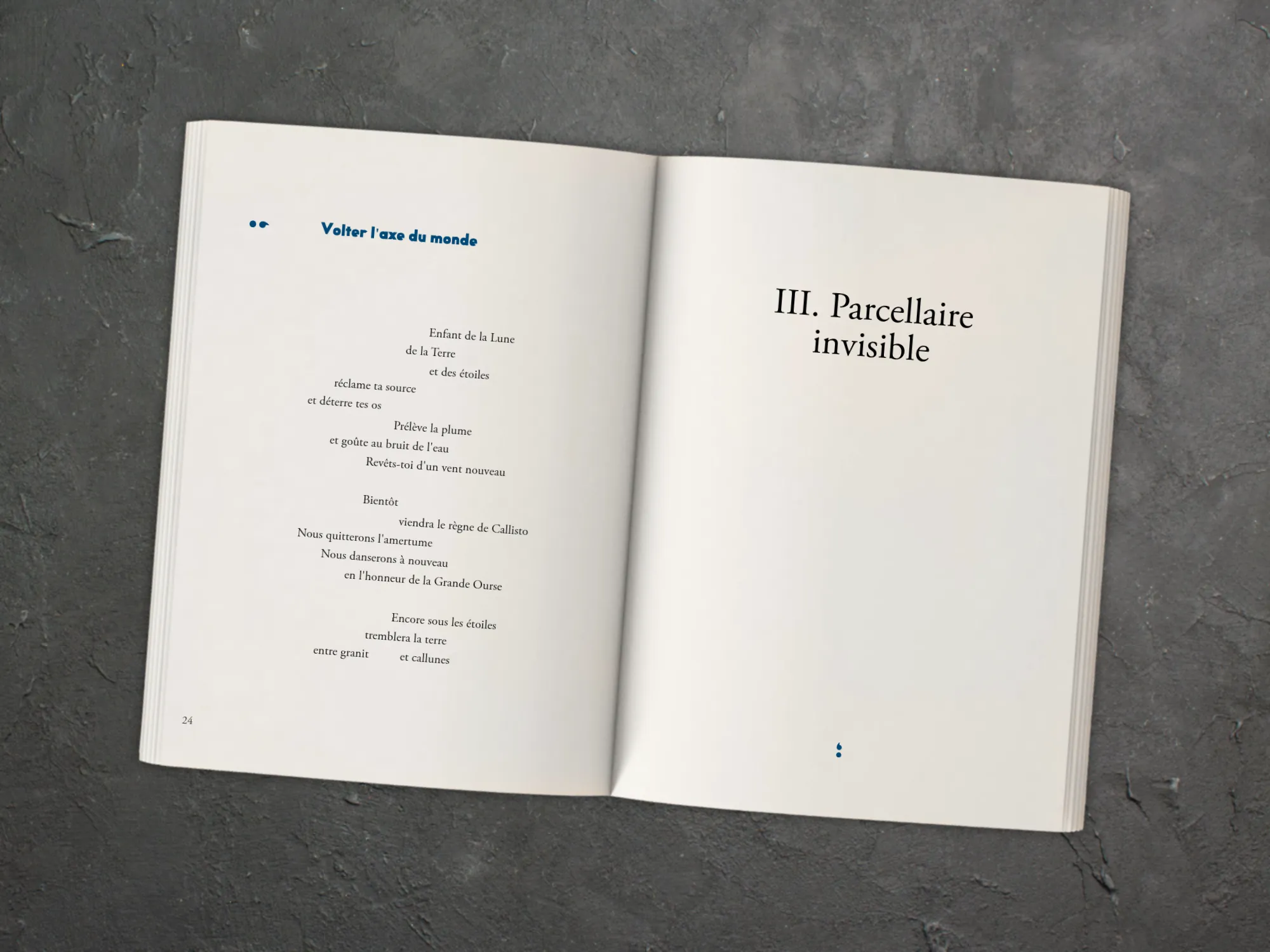 Cover of the book