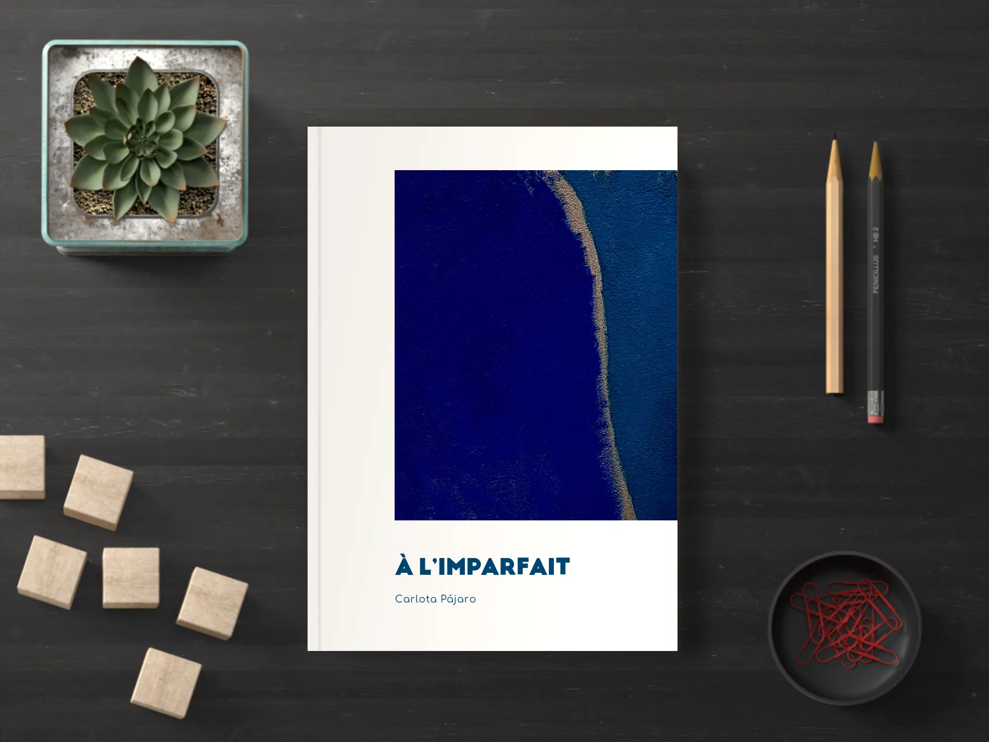 Cover of the book
