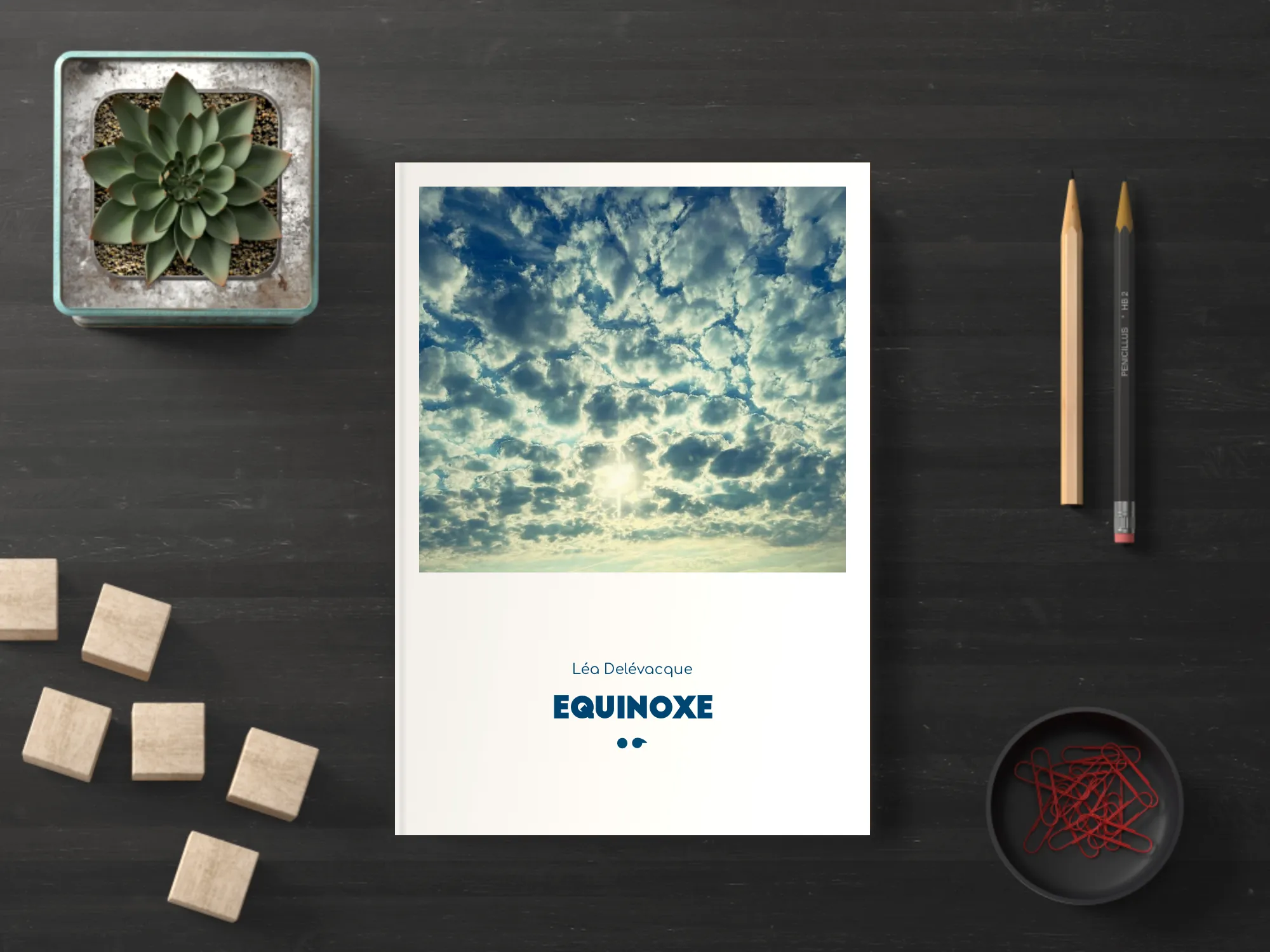 Cover of the book