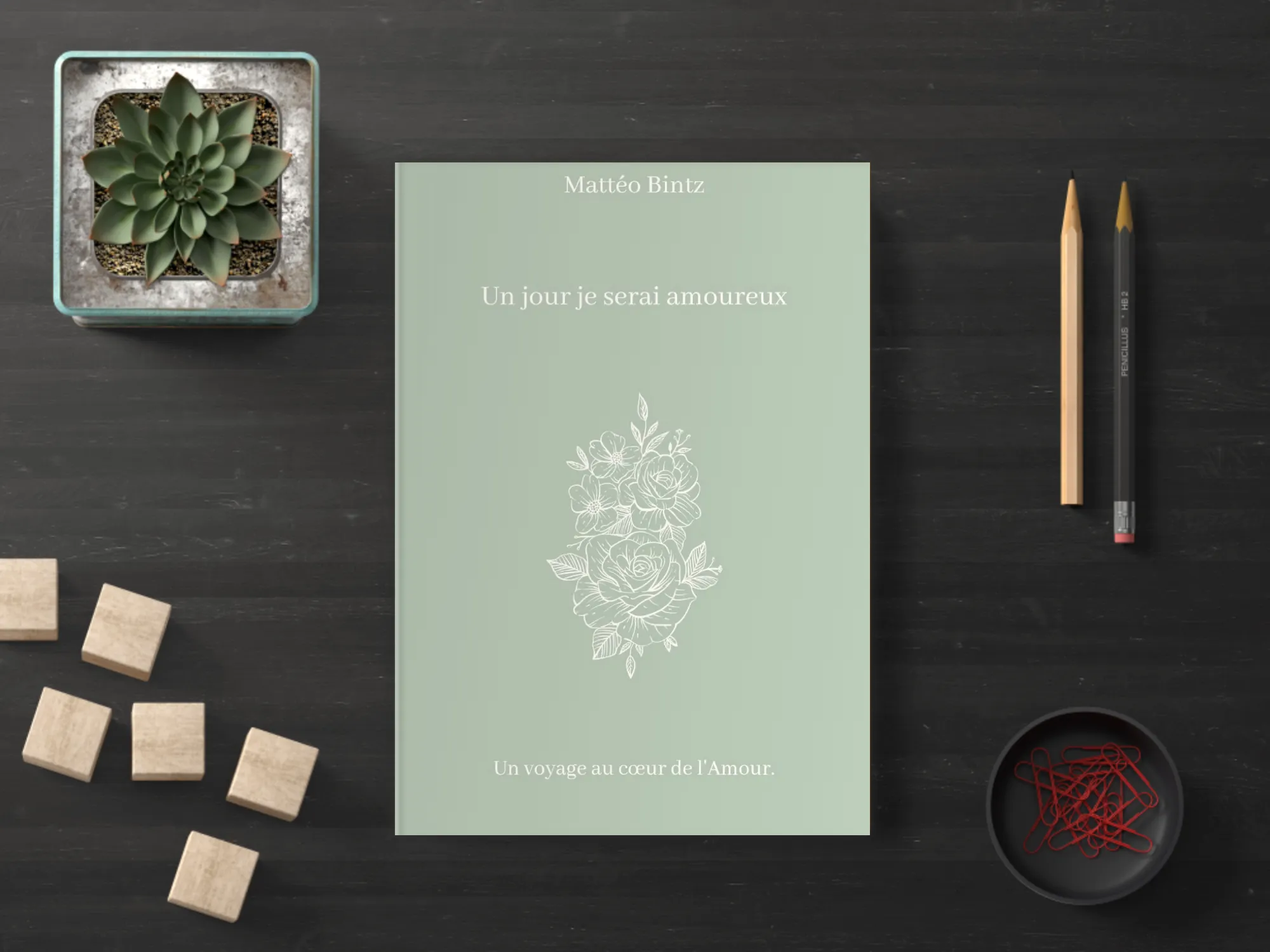 Cover of the book