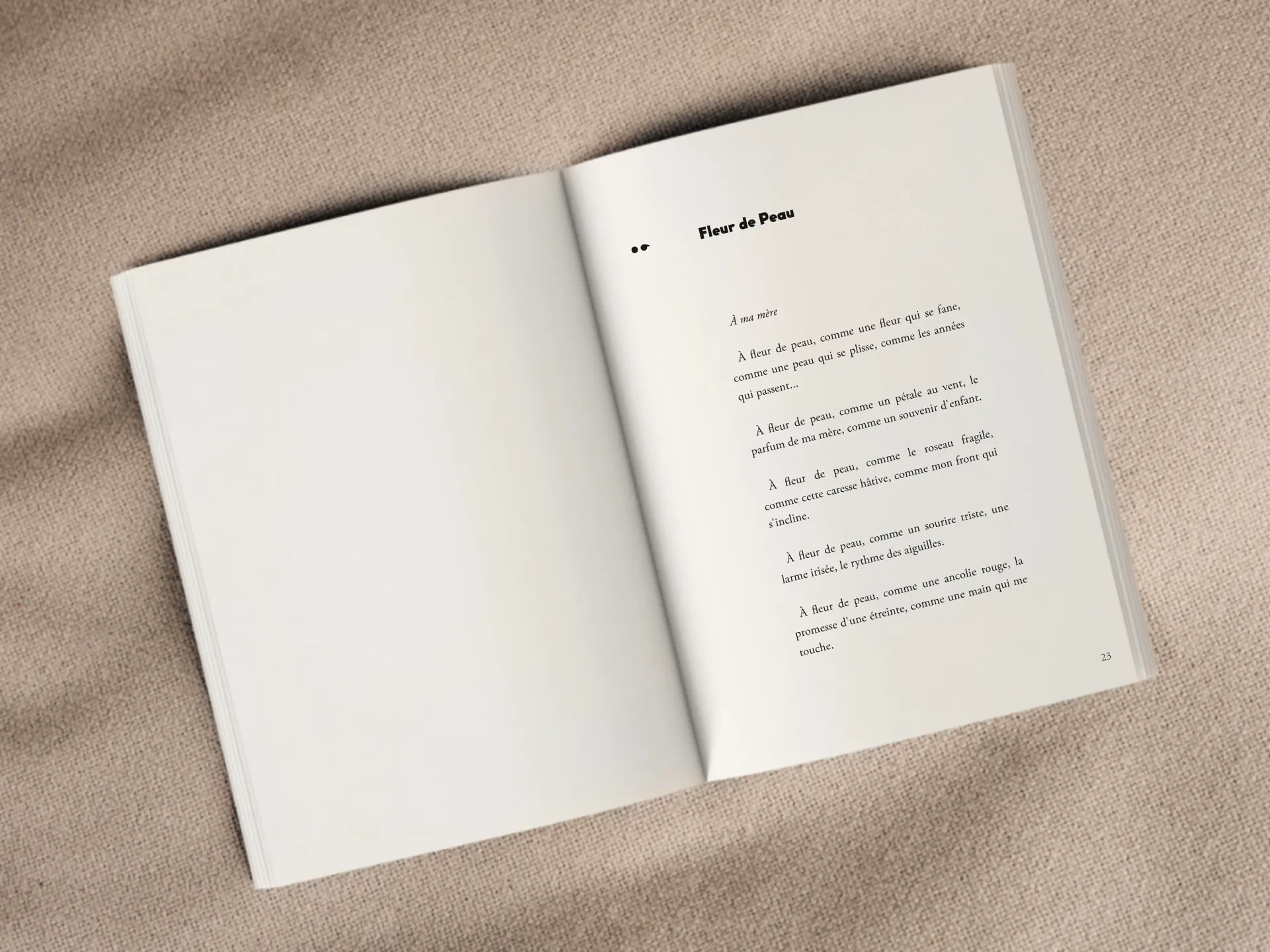 Cover of the book