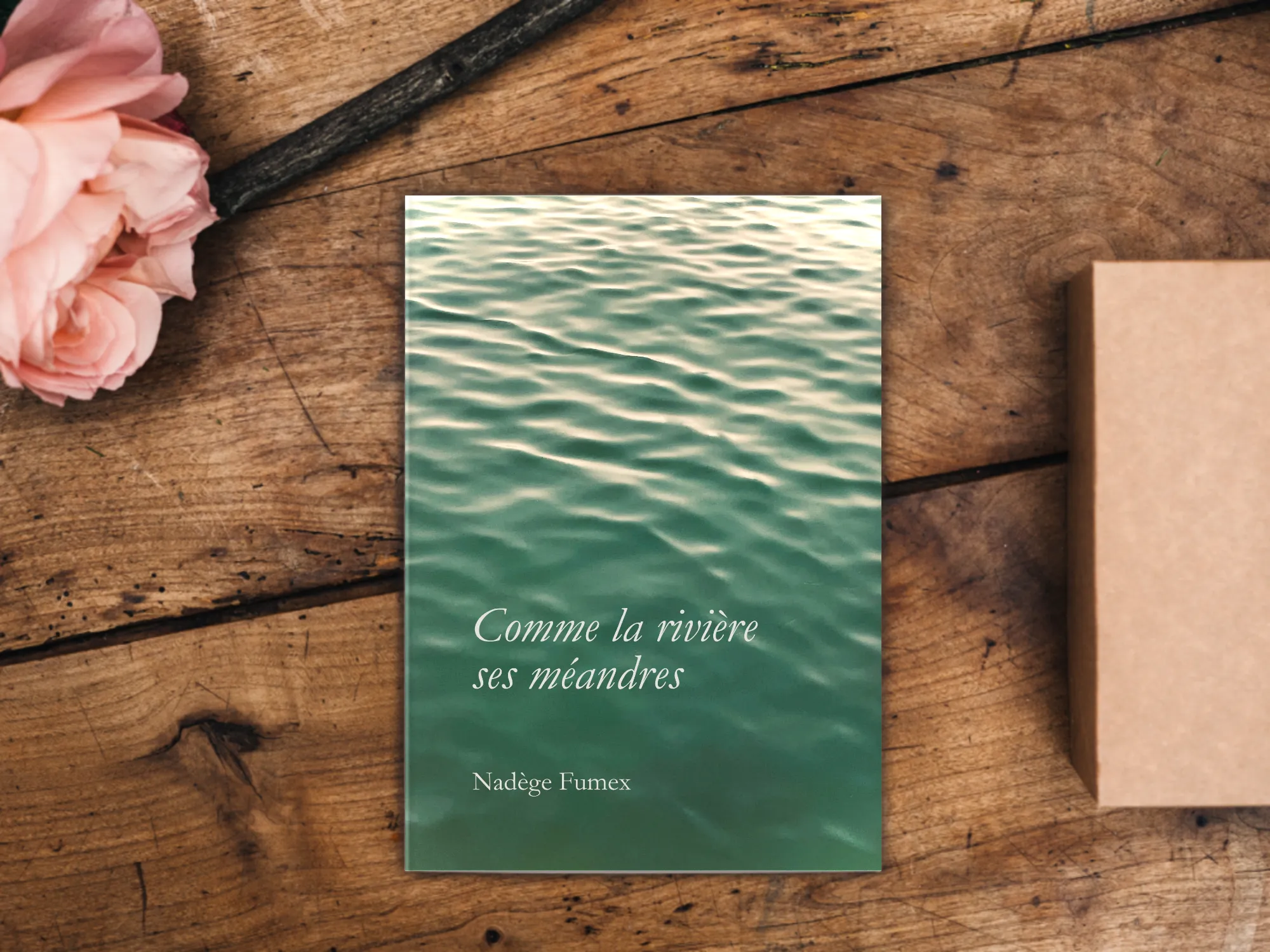 Cover of the book
