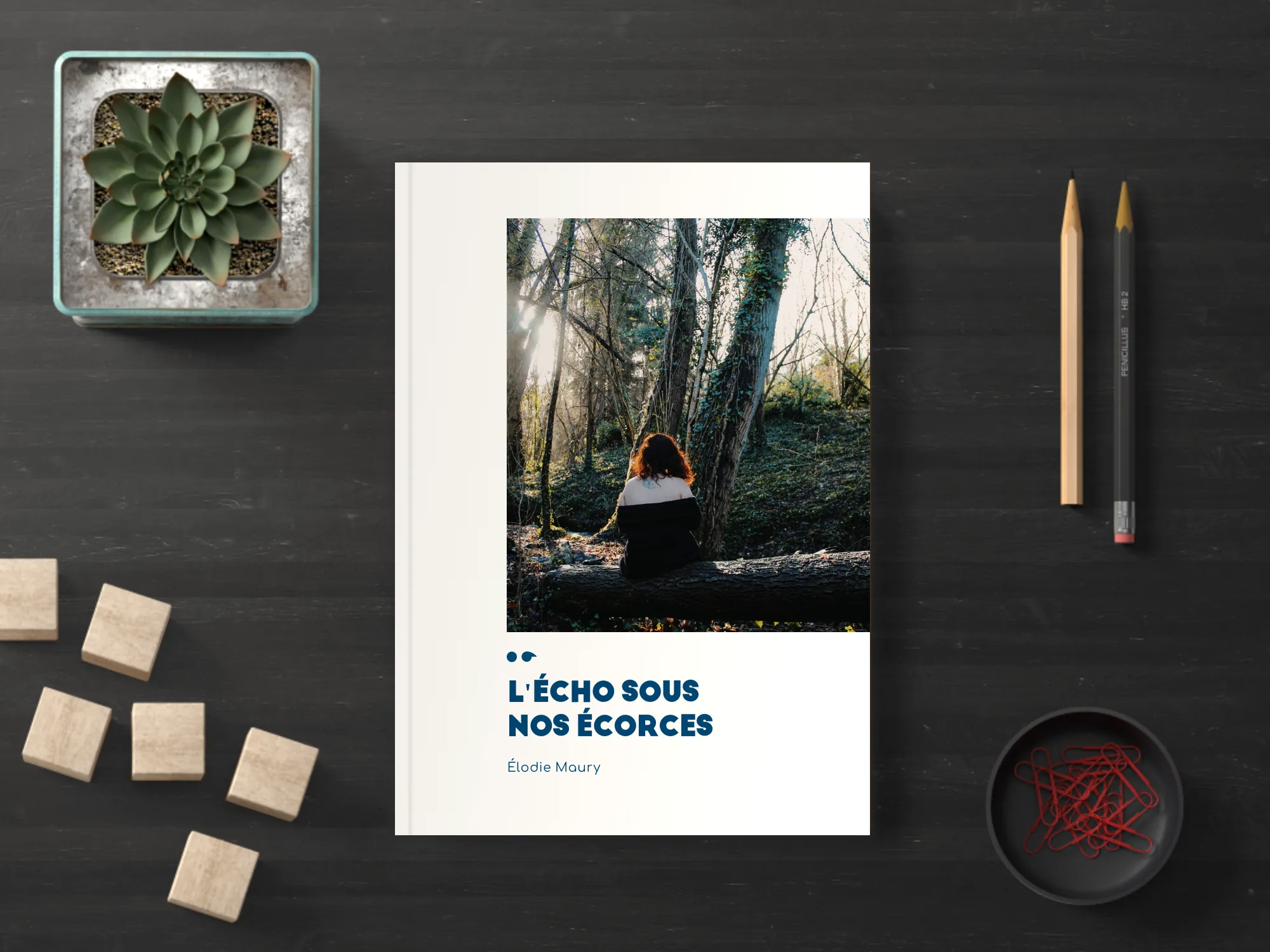 Cover of the book