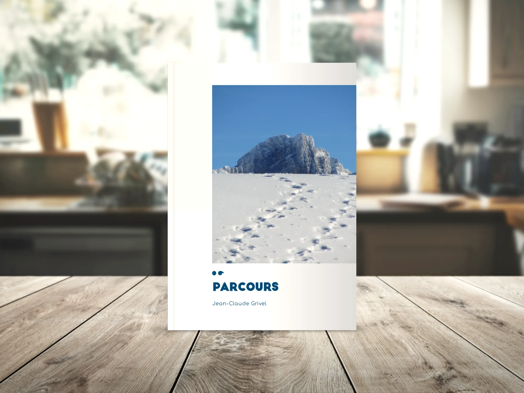 Cover of the book