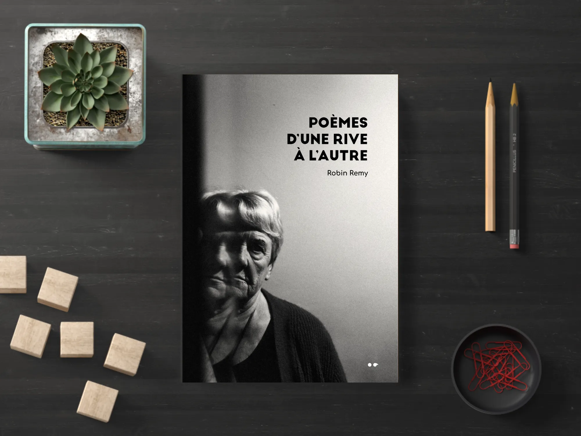 Cover of the book