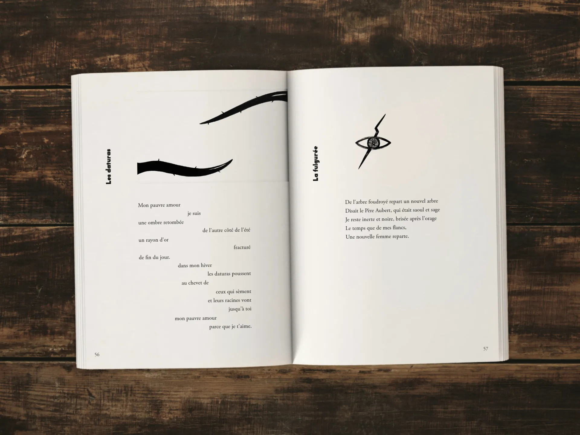 Cover of the book