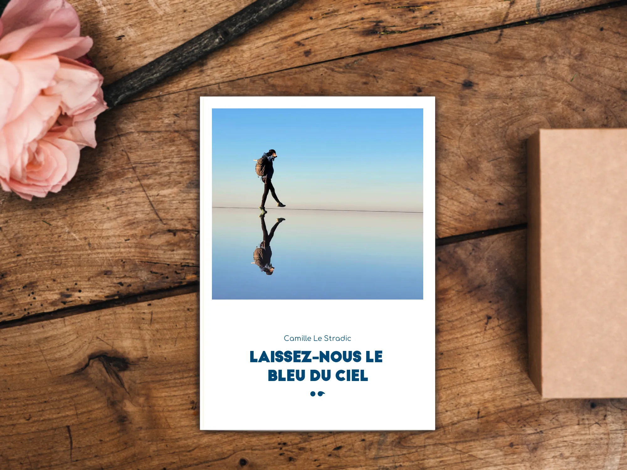 Cover of the book
