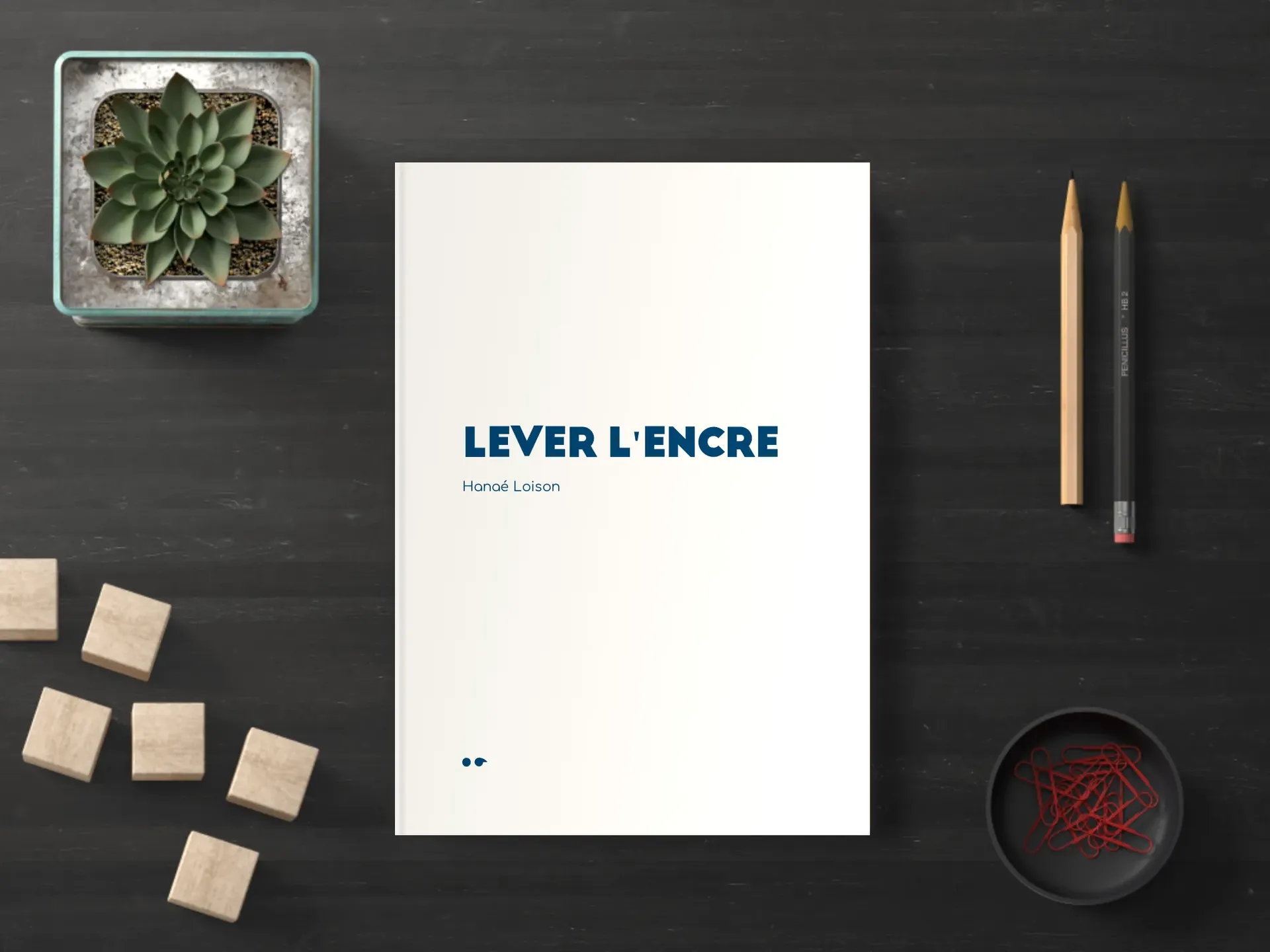 Cover of the book