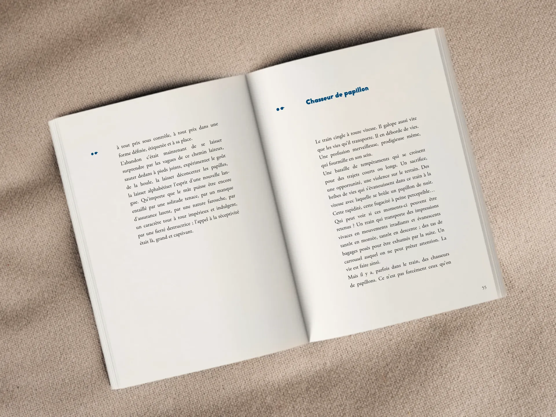 Cover of the book