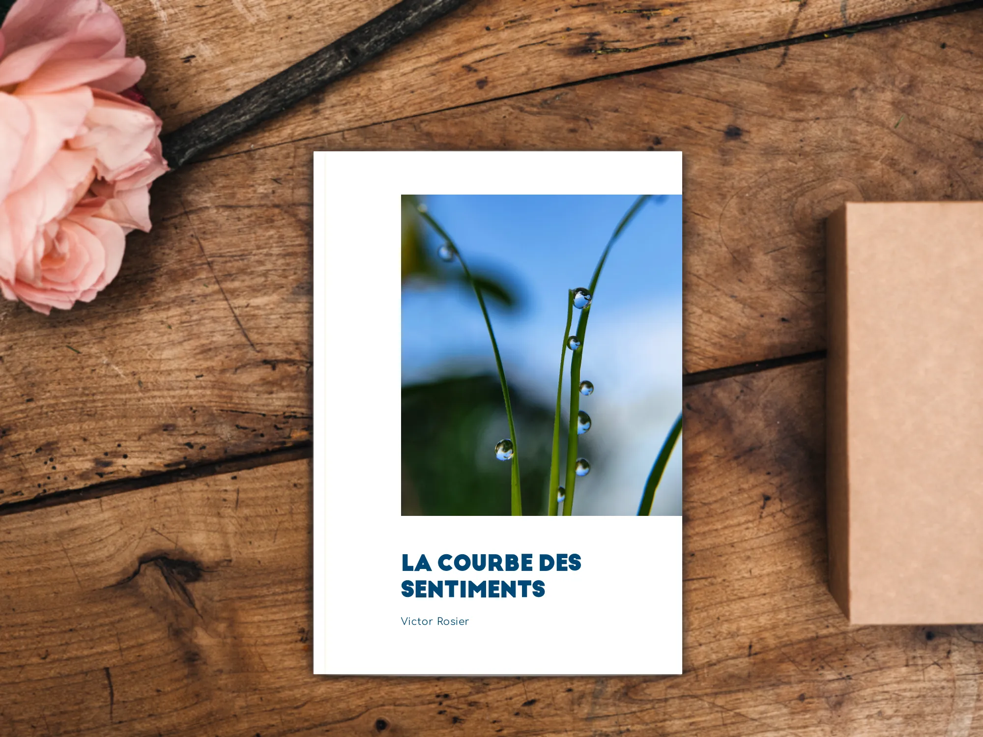 Cover of the book
